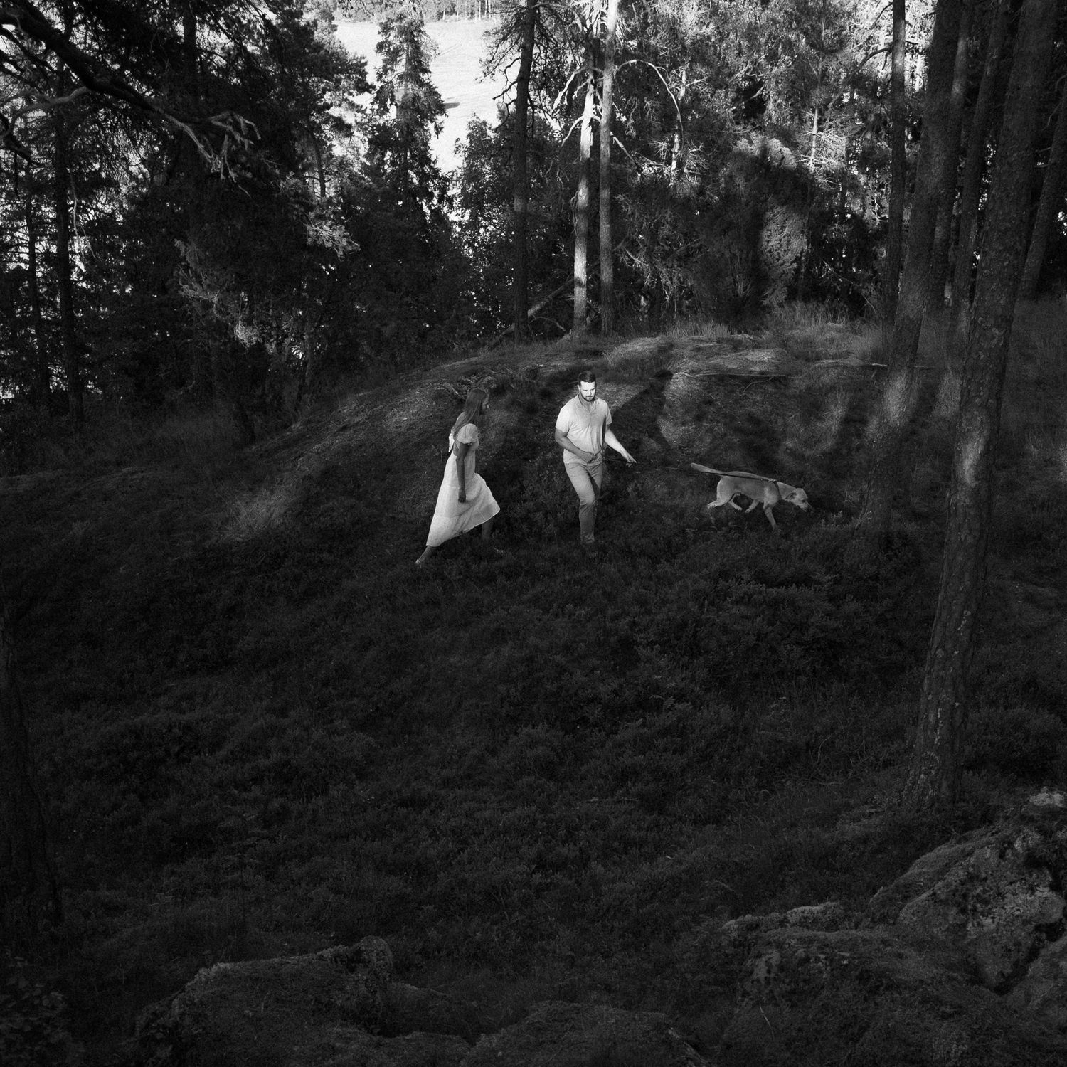 Silhouettes moving through a dark forest landscape at dusk.