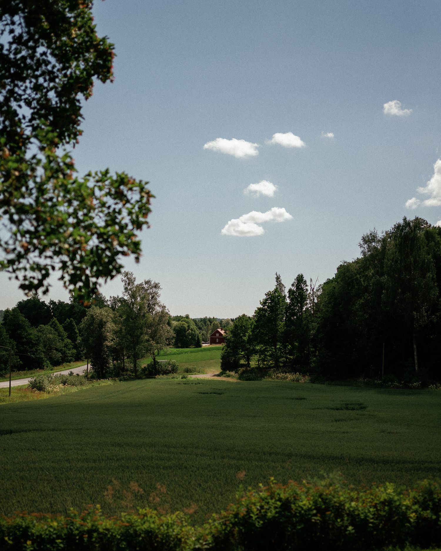 Lush green countryside landscape with open fields, dense trees, and a red farmhouse under a bright blue sky with scattered clouds.