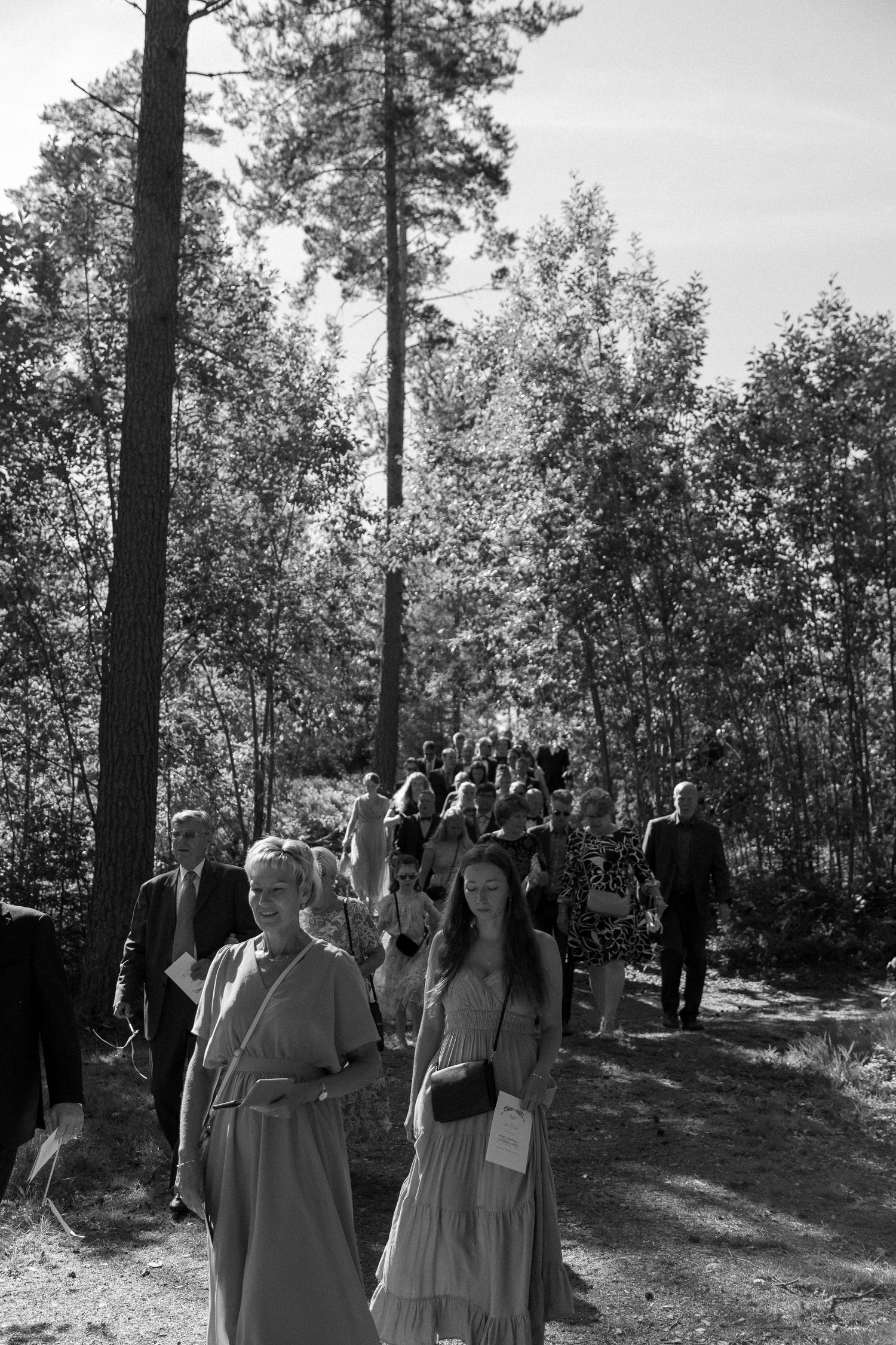 Wedding guests gather on a forest trail surrounded by tall pine trees.