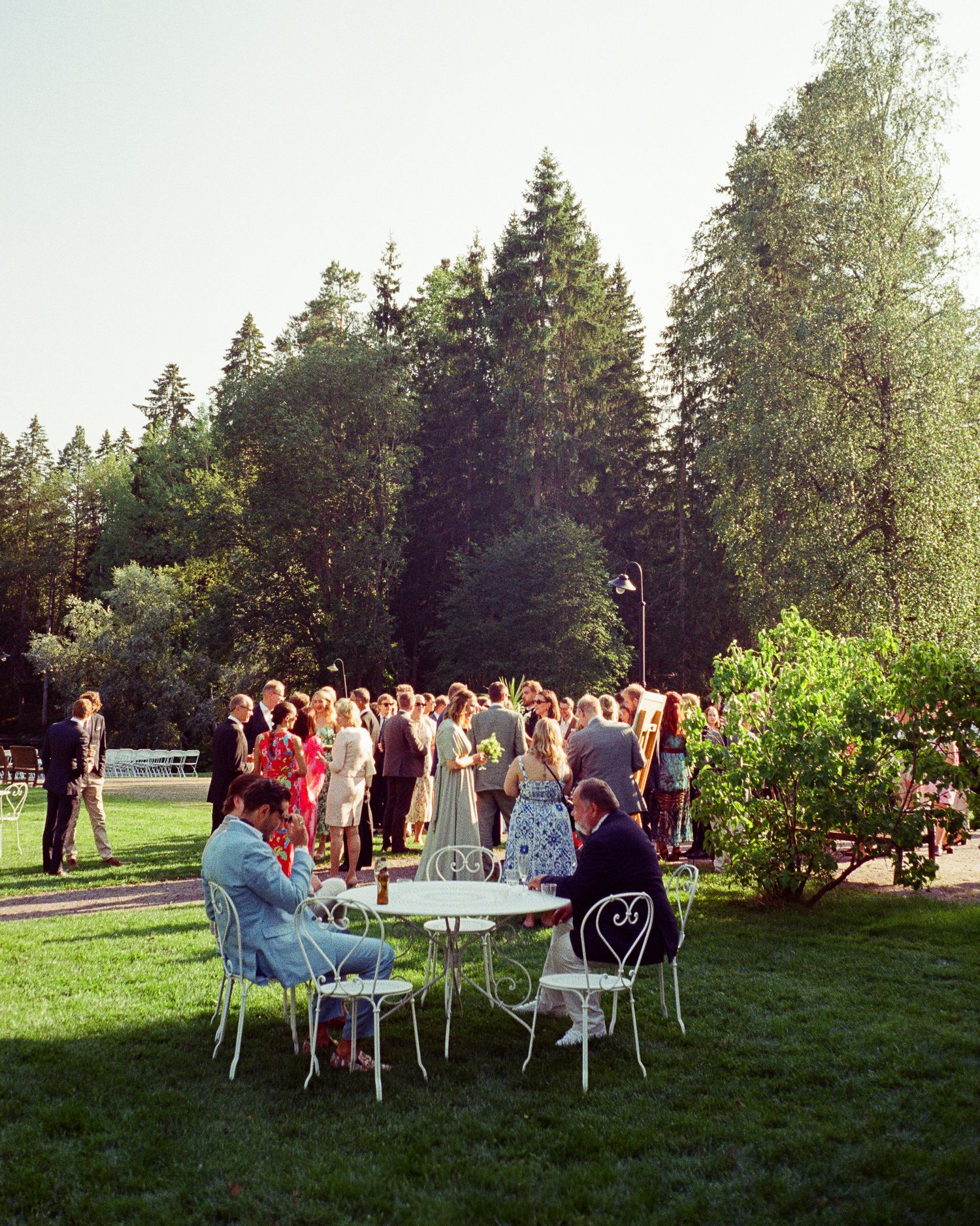 Outdoor garden party setup with white tables and chairs on a grassy lawn surrounded by evergreen trees.