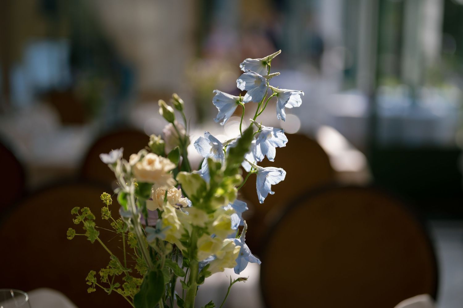 White bell-shaped flowers in soft focus against dark background.