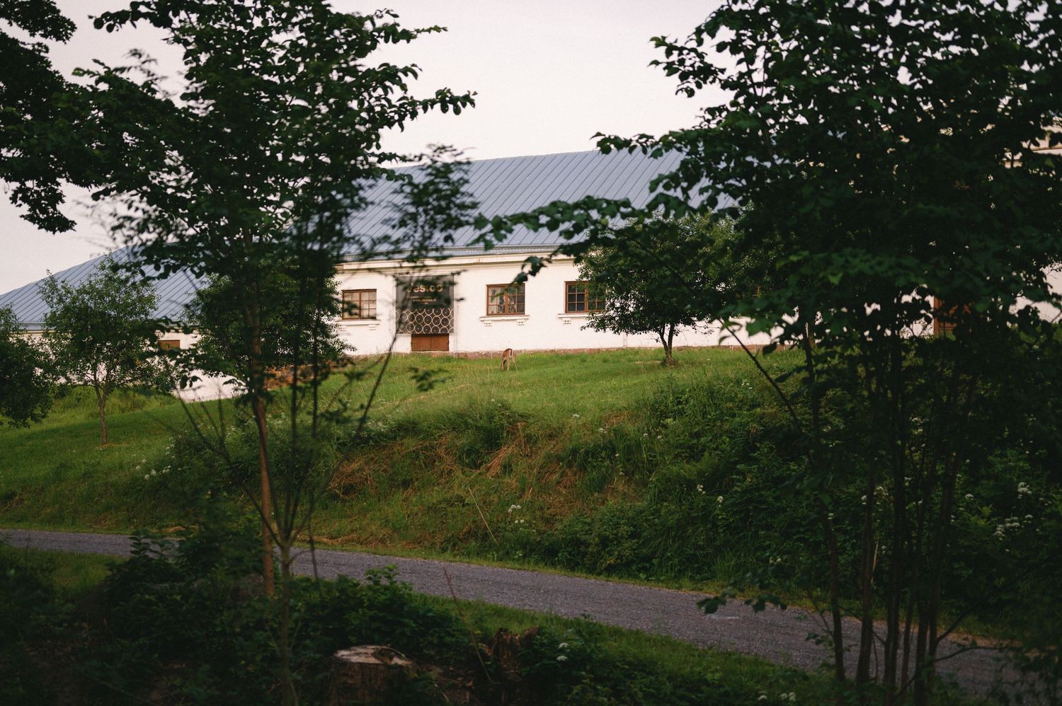 Scenic countryside landscape view with trees and rolling hills at dusk.