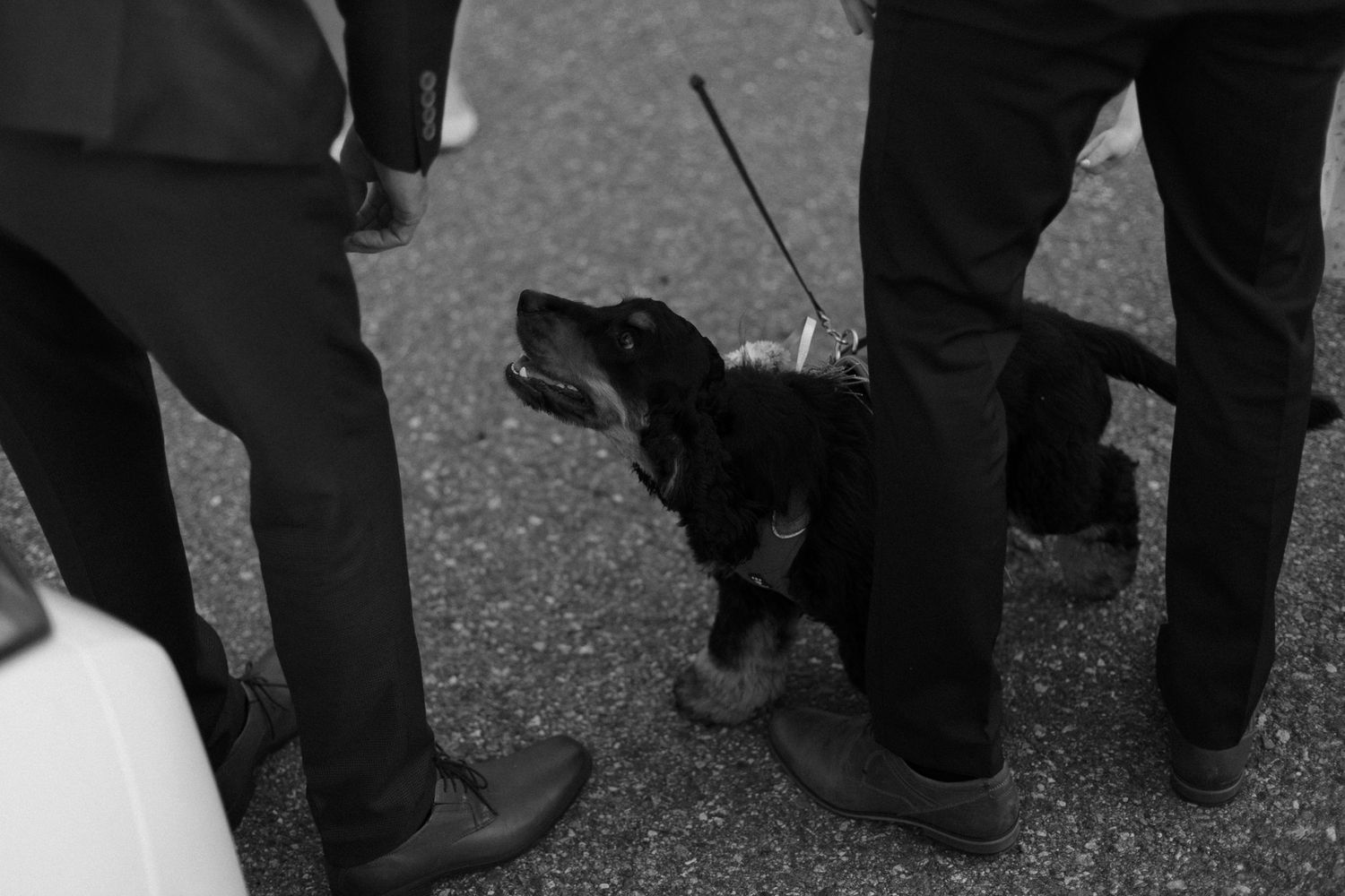 Wedding party members in formal black attire stand together outdoors.