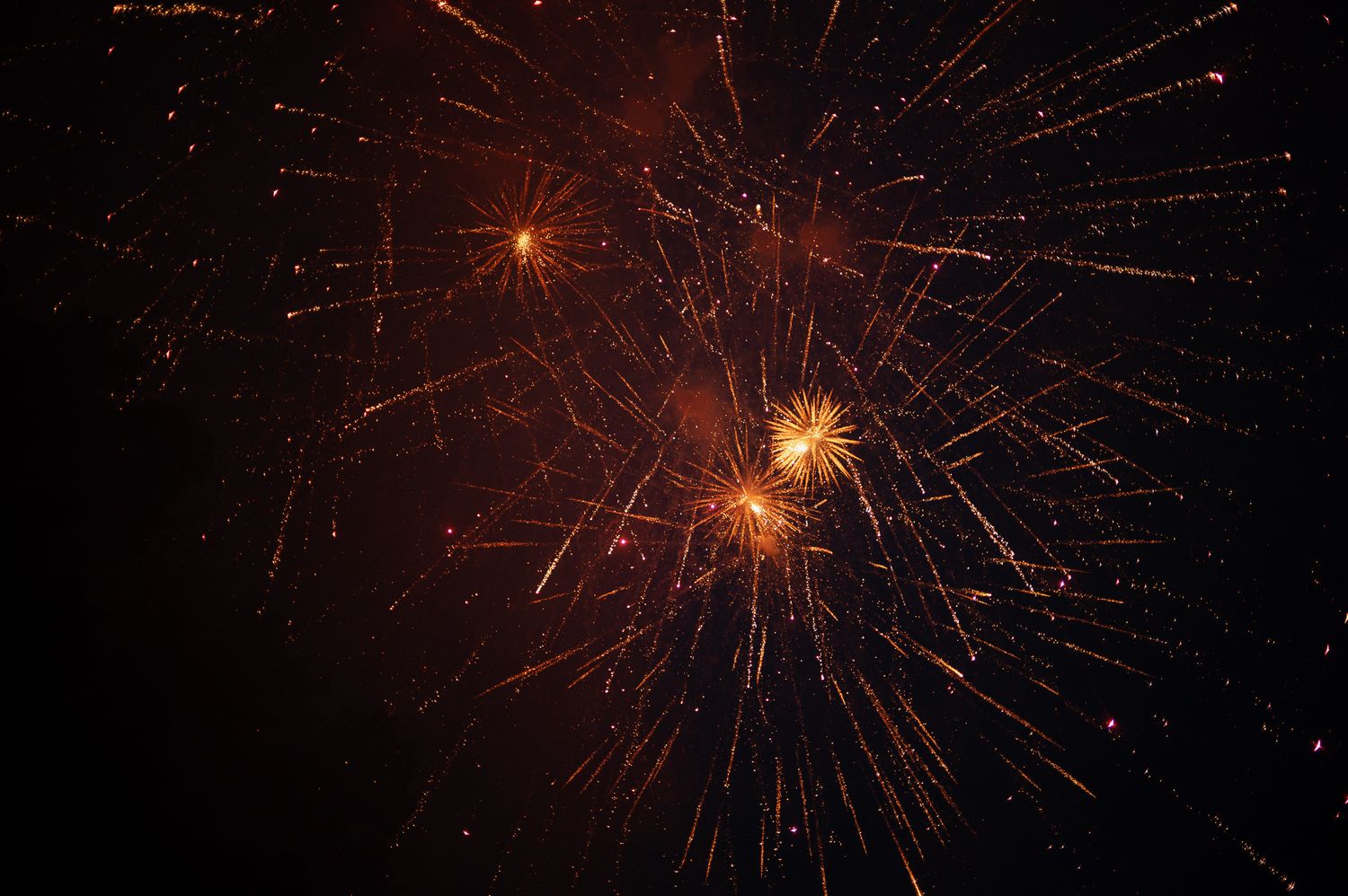 Vibrant golden and red fireworks exploding against a dark night sky in a dazzling celebratory display.