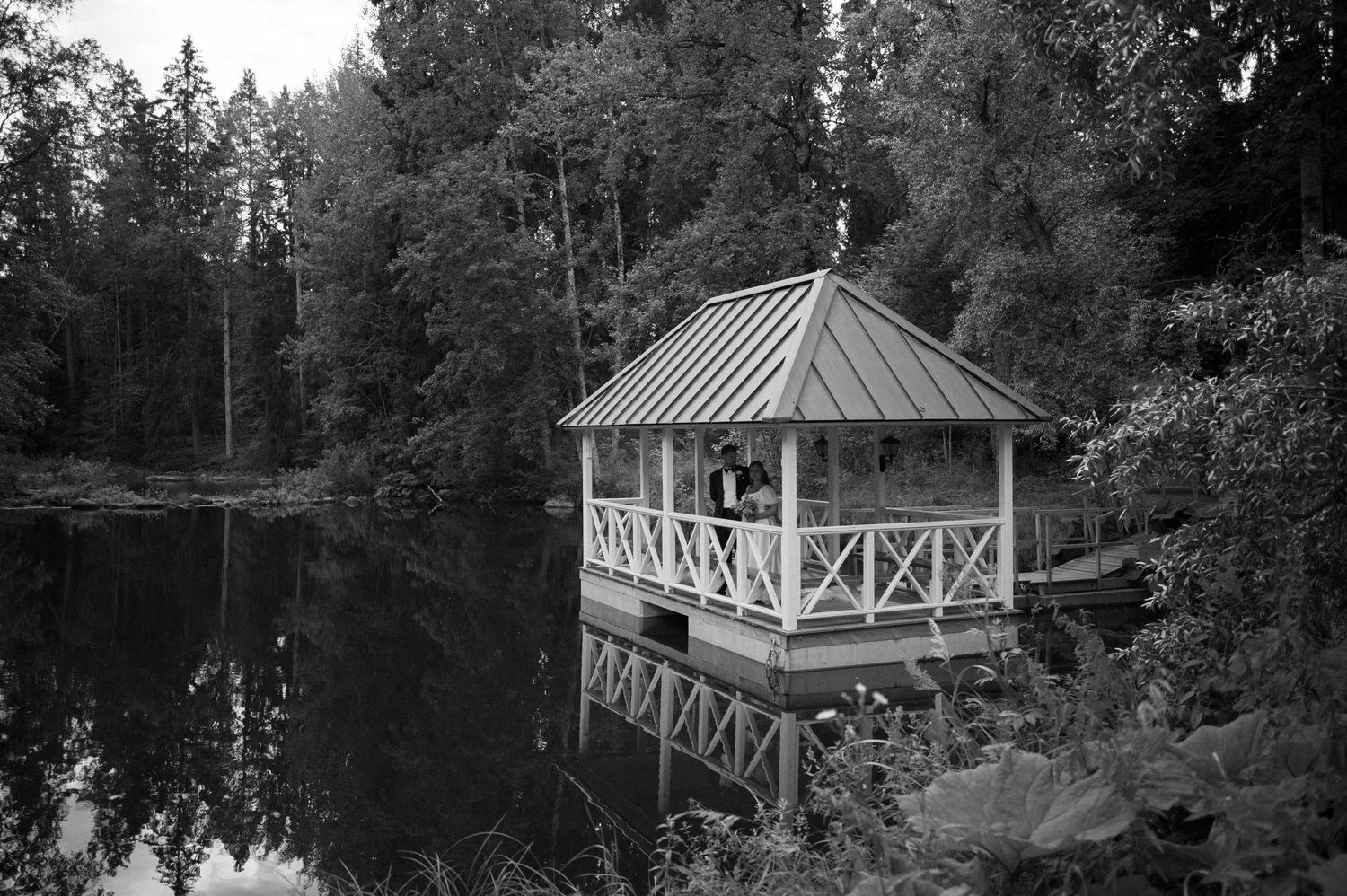 A rustic wooden gazebo nestled among tall evergreen trees in a forest setting.