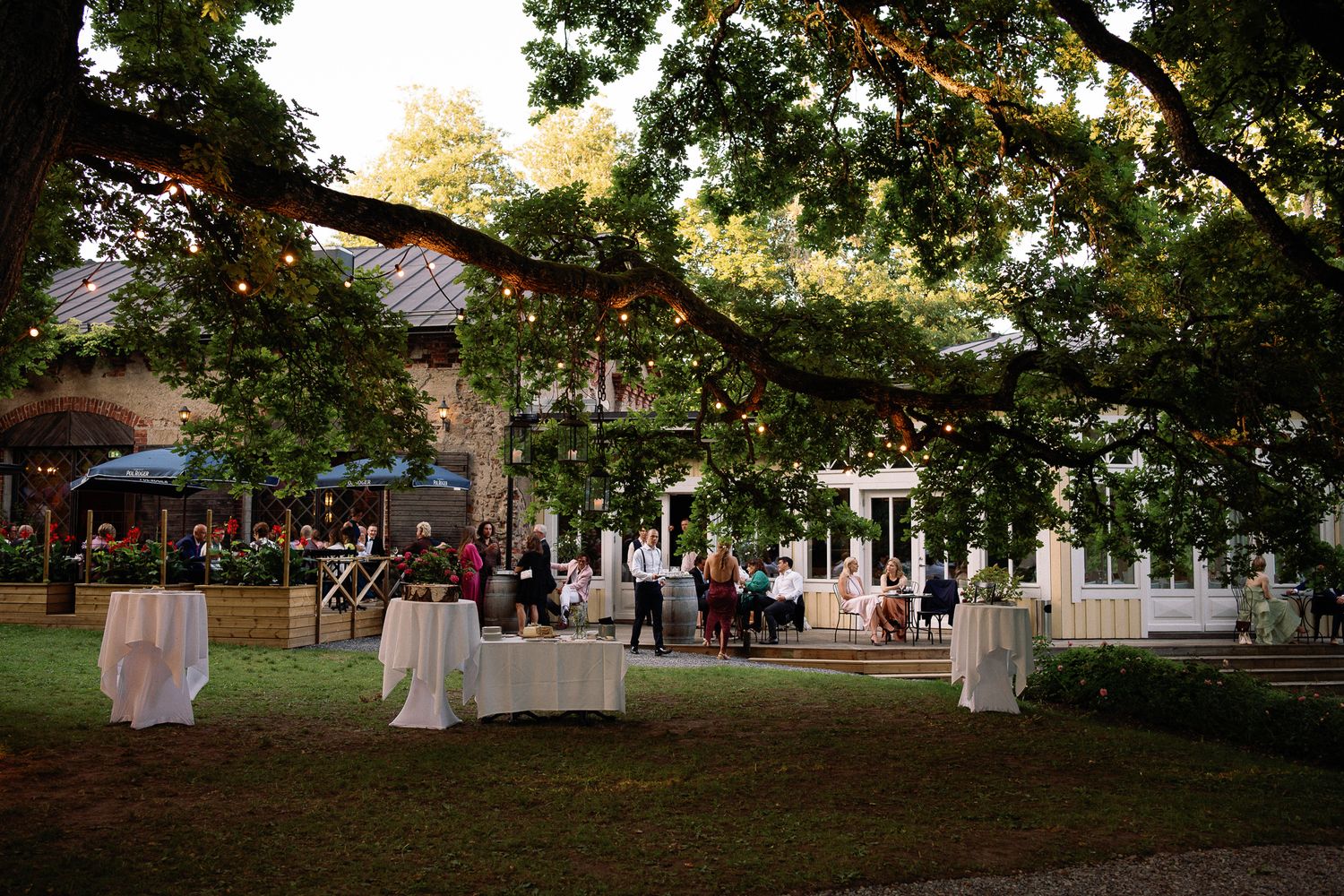 Outdoor evening garden party with white draped tables on green lawn beneath oak trees with string lights near elegant venue.
