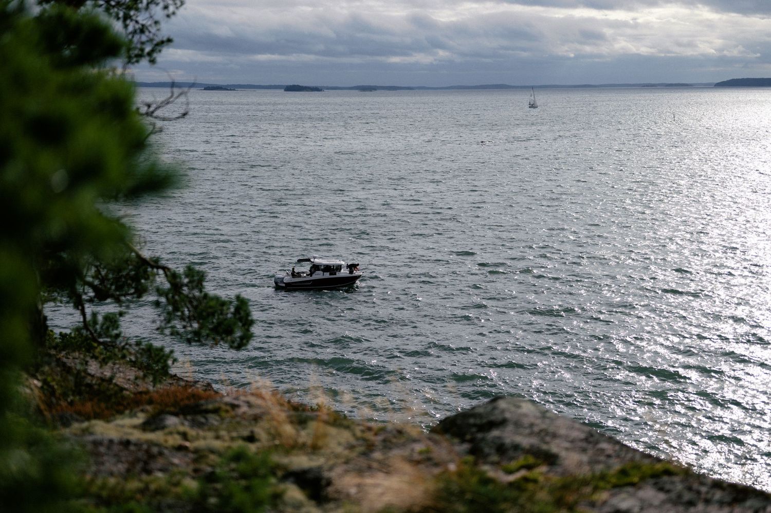 Scenic panoramic view of a rocky coastline with pine trees and calm waters under dramatic cloudy skies.