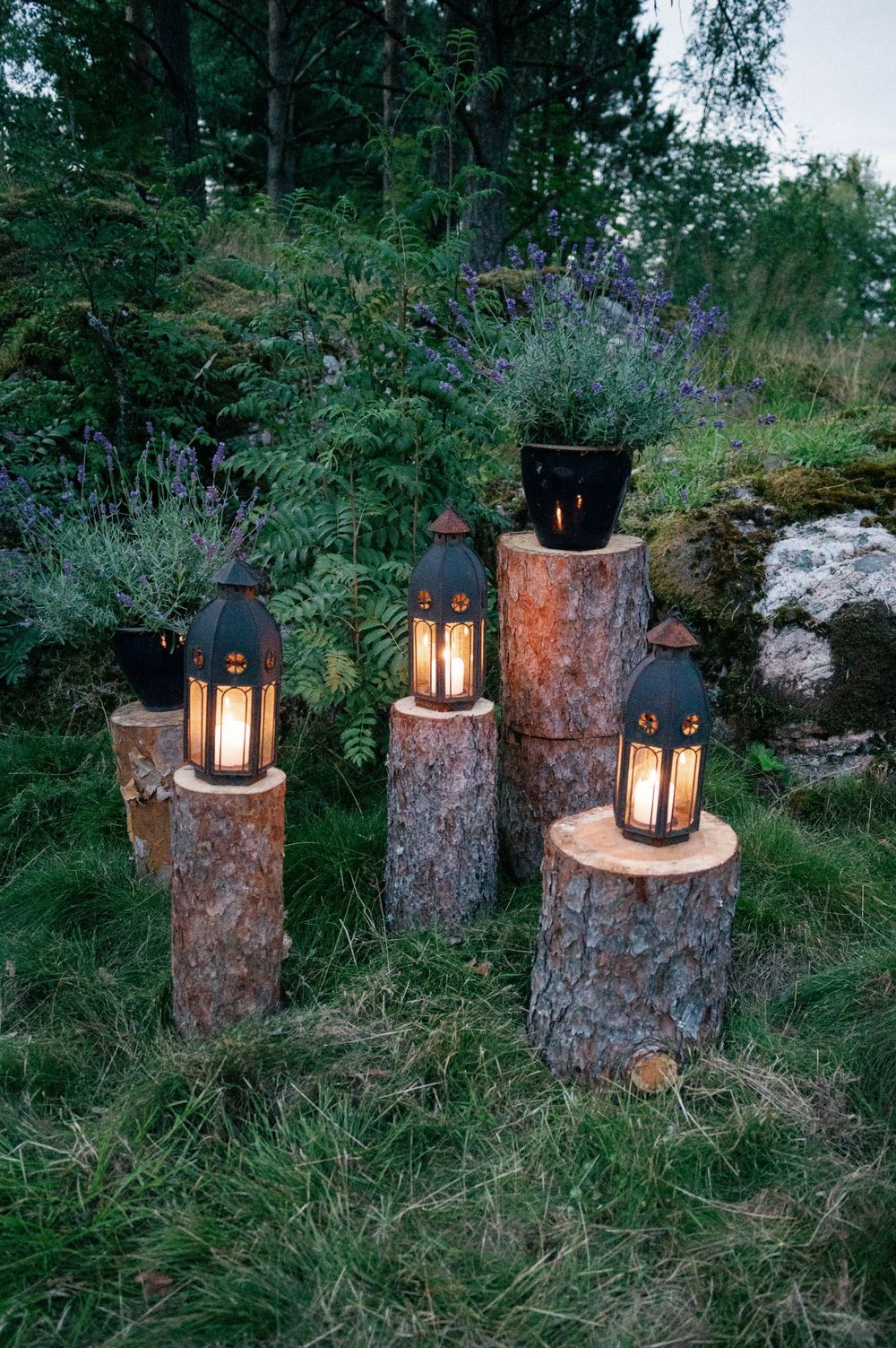 Rustic lanterns placed on tree stumps create romantic outdoor lighting.