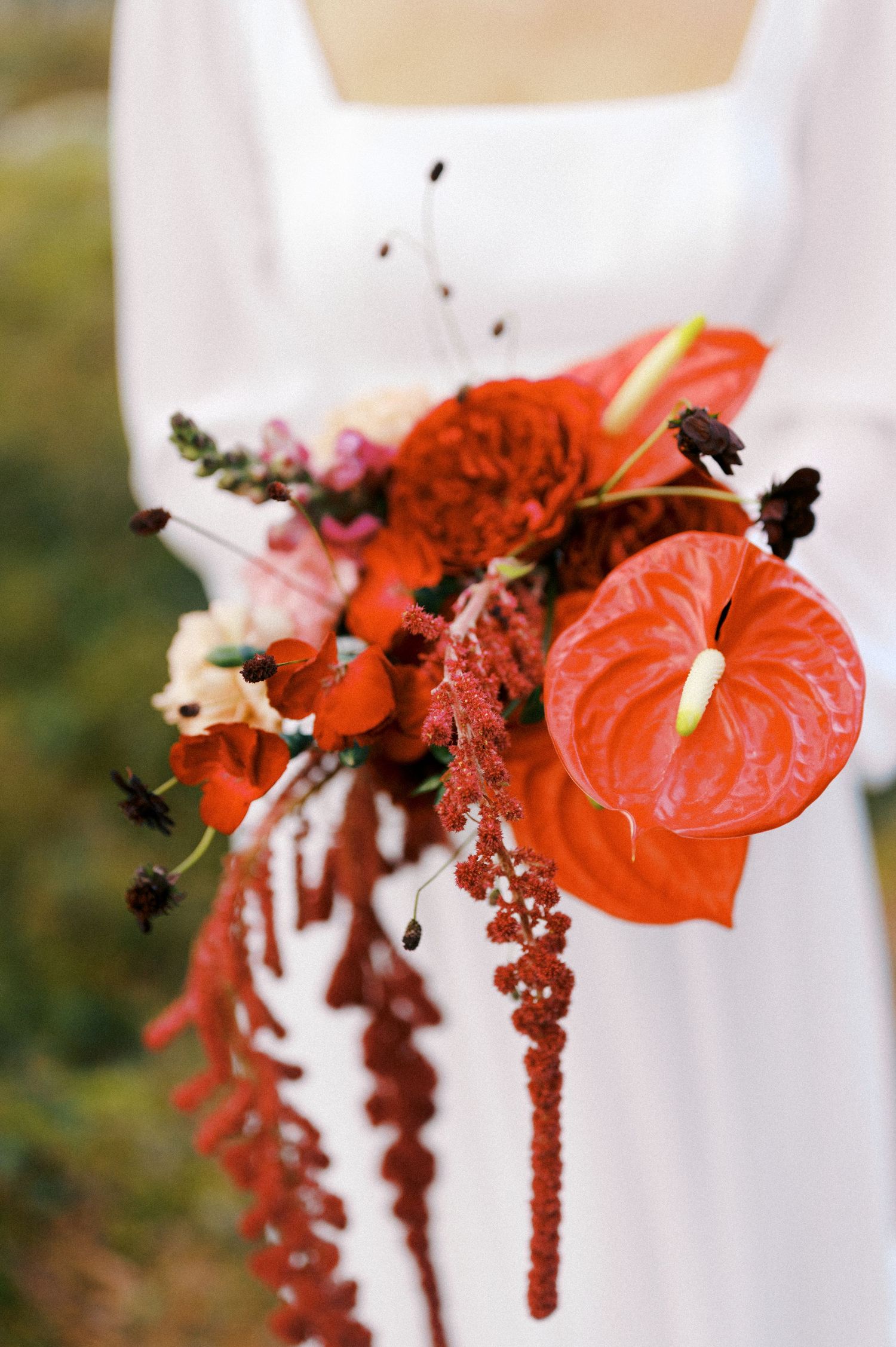 Red anthurium flowers with dark berries create an elegant floral arrangement against a light background.