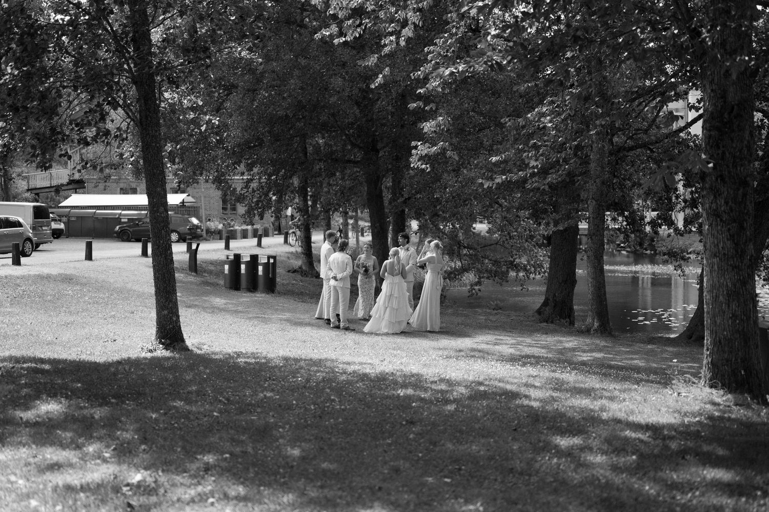 Black and white landscape view of trees and wedding decorations in park setting.