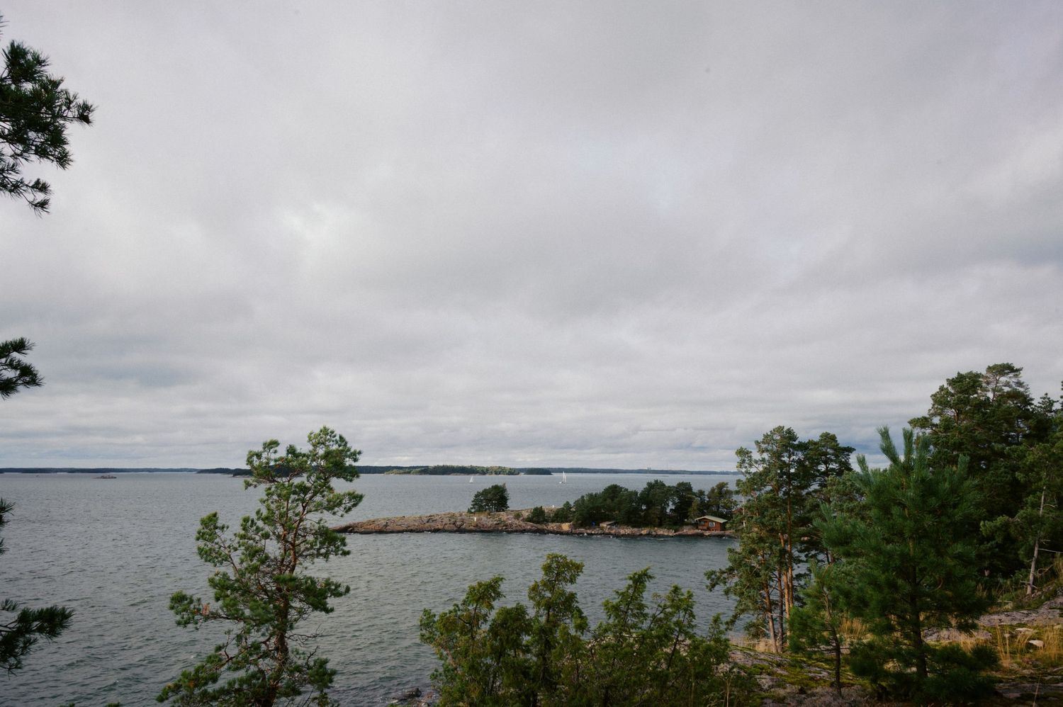 Scenic view of a rocky coastline with trees and overcast sky over calm waters of a bay or inlet.