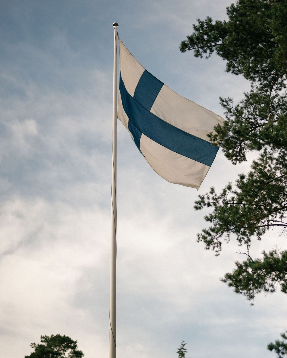 Finnish flag waving against a cloudy sky with tree branches in view.