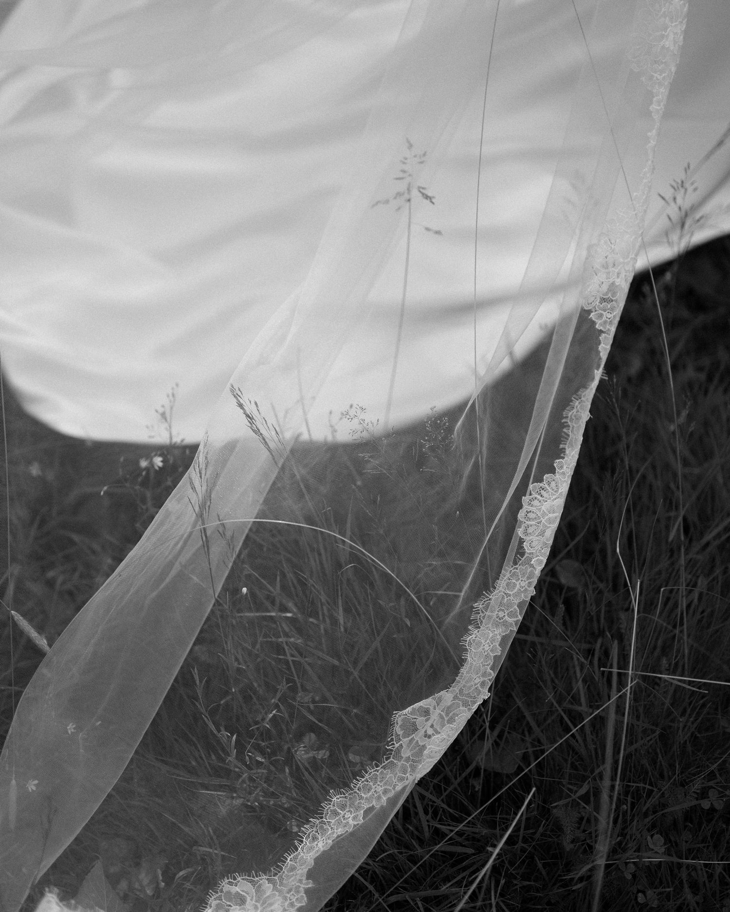 Black and white photo of a flowing wedding veil with lace trim billowing over wild grass in a field.