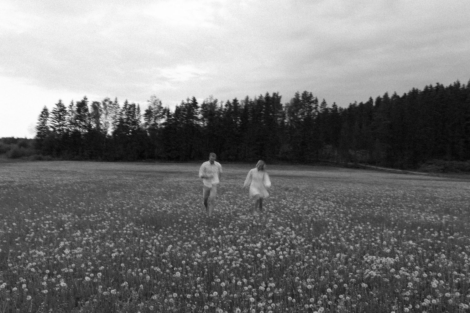 A black and white photo of two people walking through a vast flowering meadow.