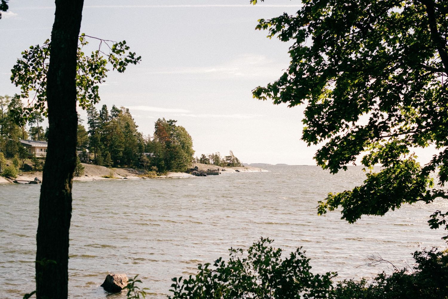 Scenic waterfront view through trees showing rocky coastline and calm waters.