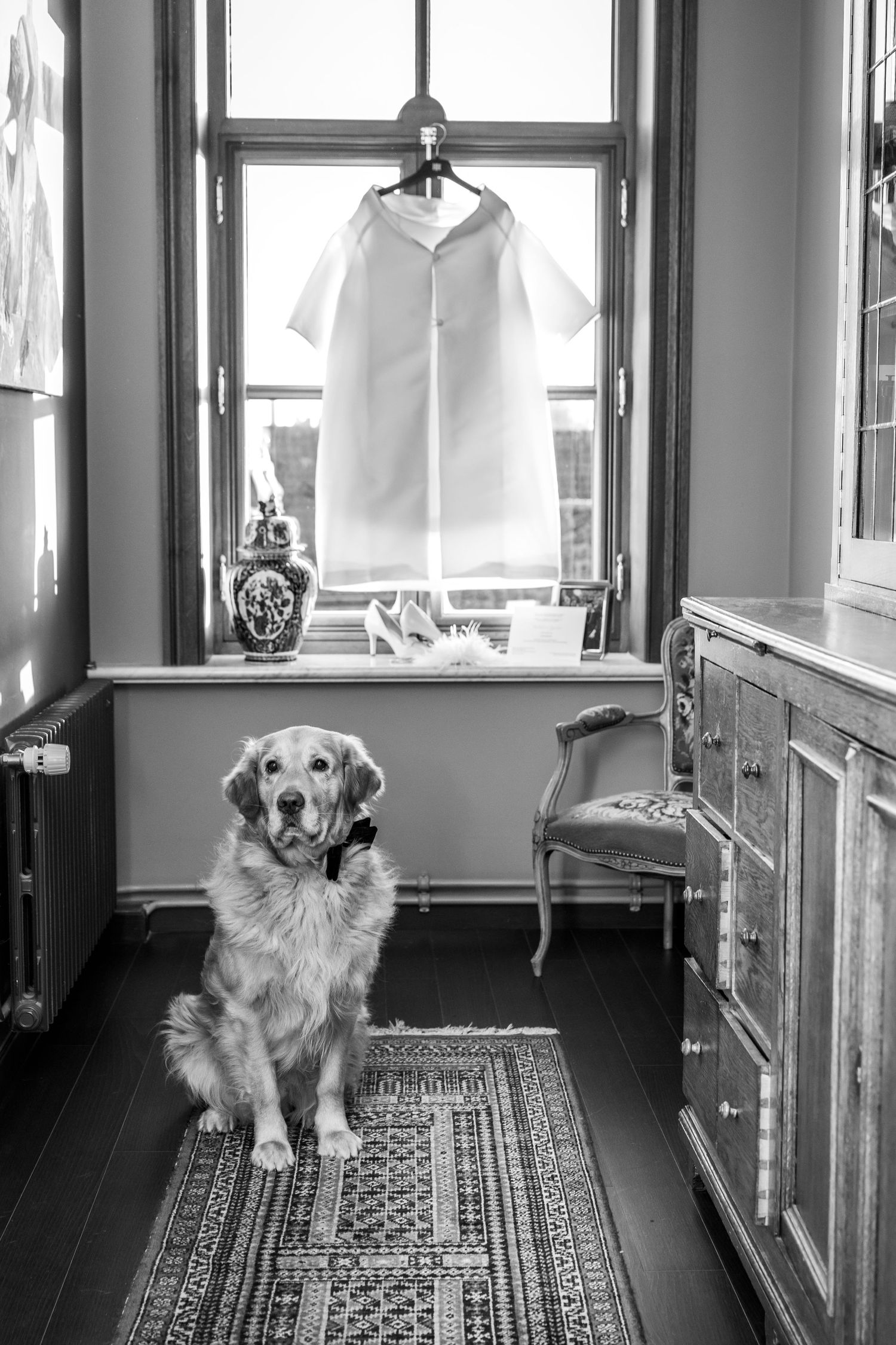 Trouwkleed gefotografeerd bij ruit samen met de hond