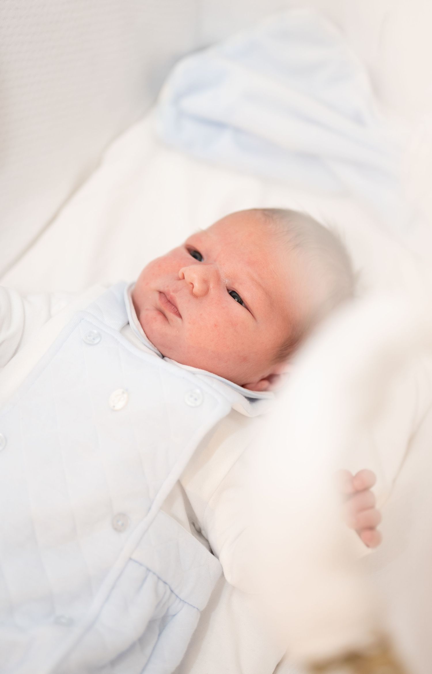 Newborn fotografie in Moorslede