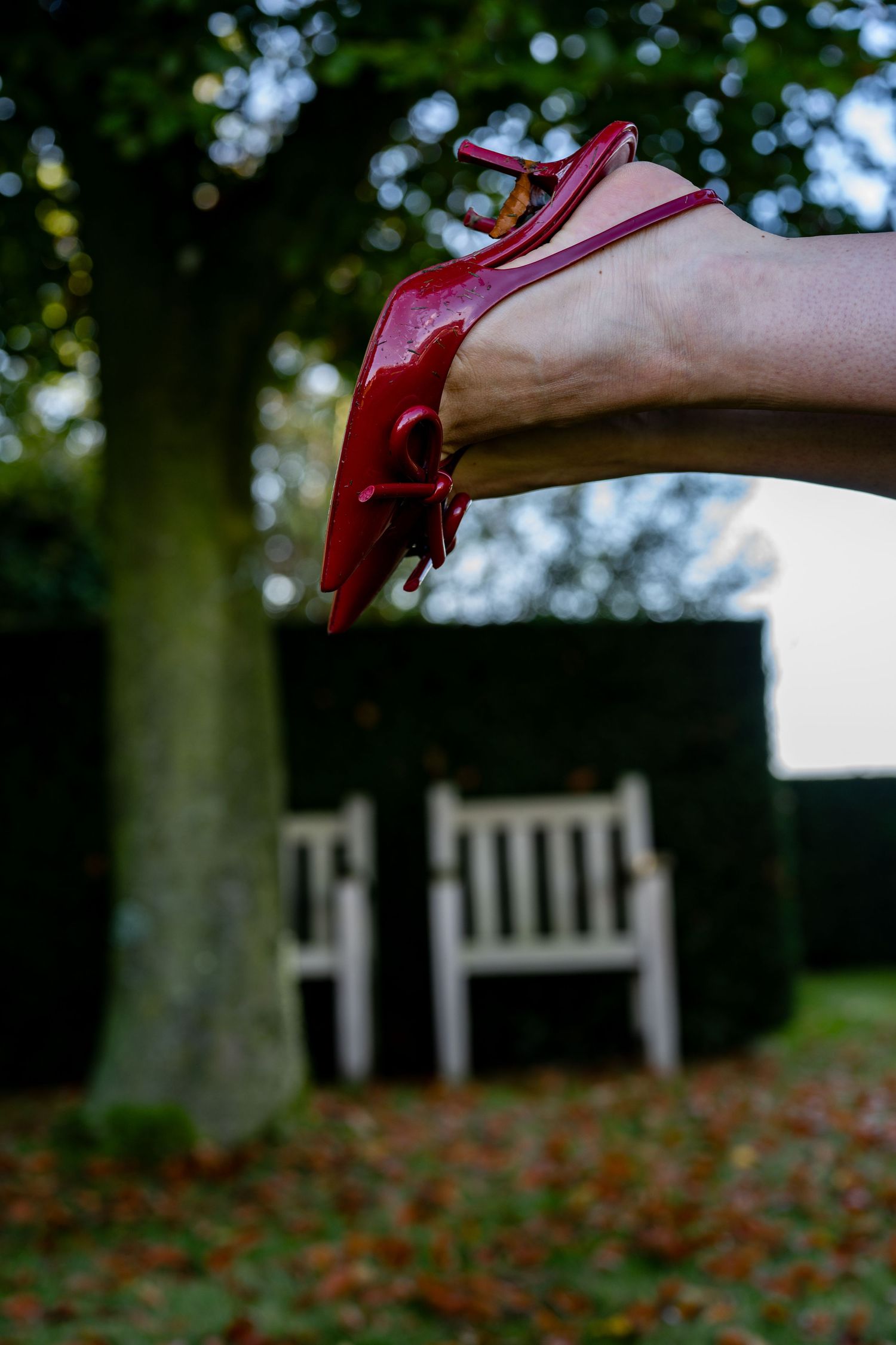 Verlovingsfeest te Deerlijk in de herfst