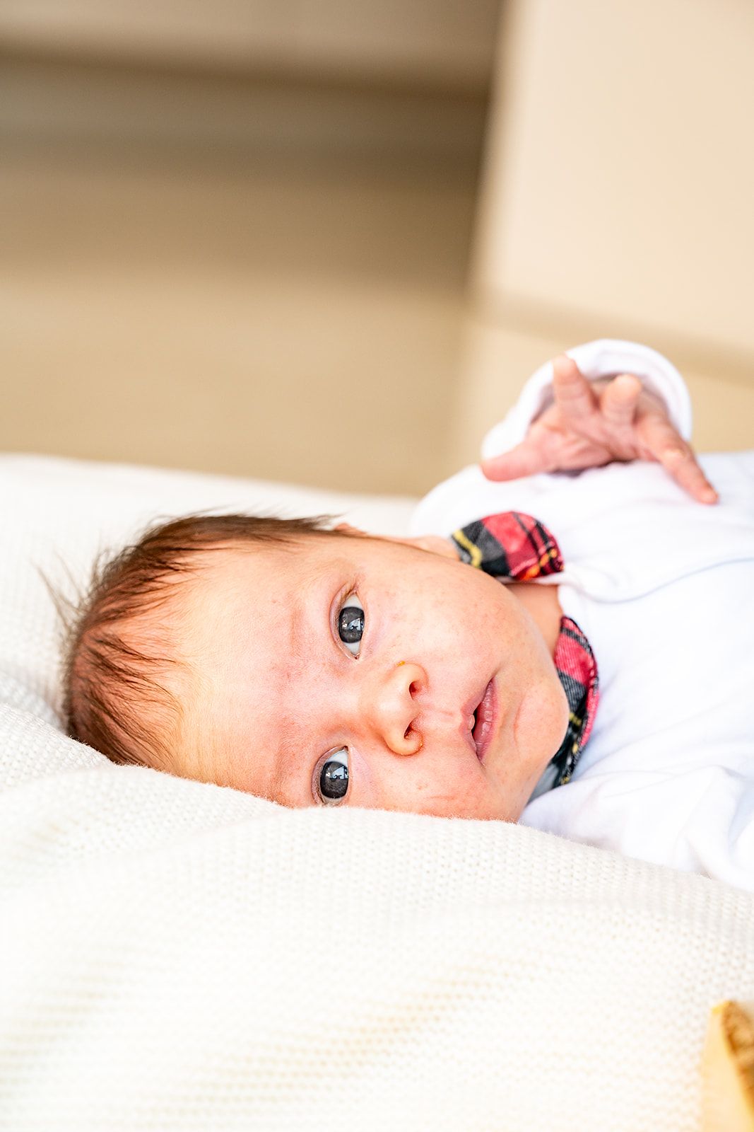 Newborn shoot in Koolskamp met kerstkledij