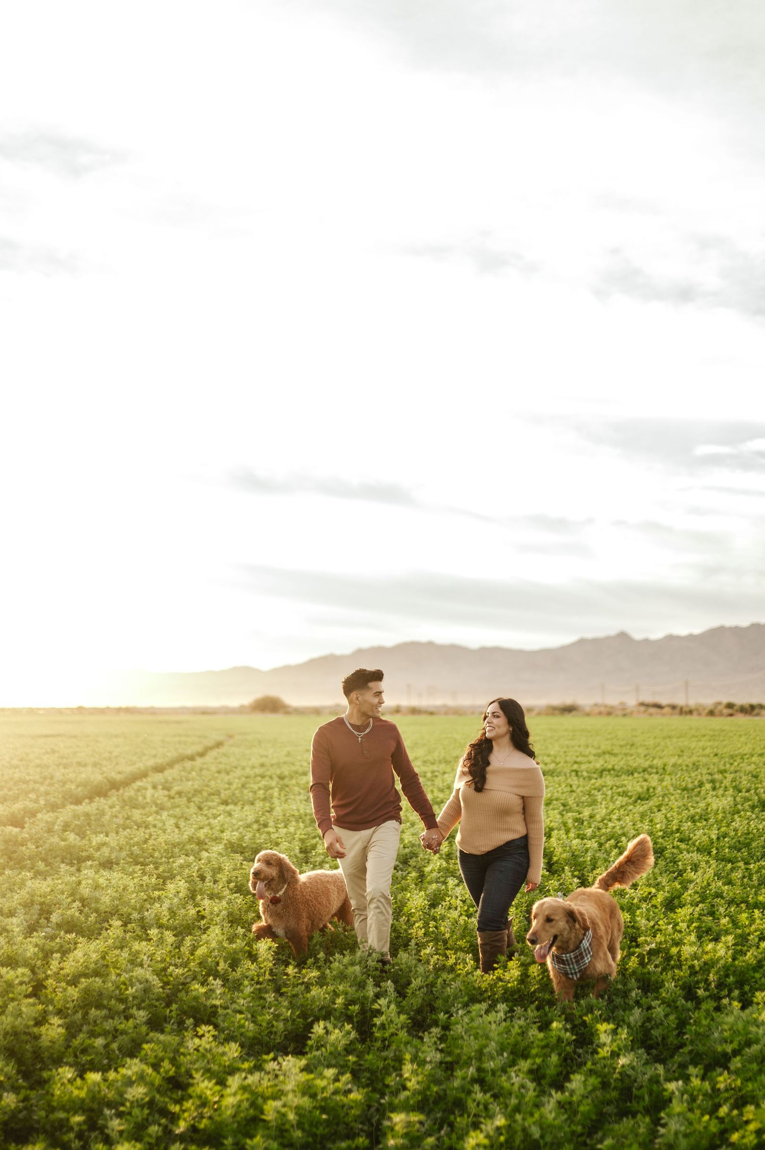 couples photoshoot in fields with dogs