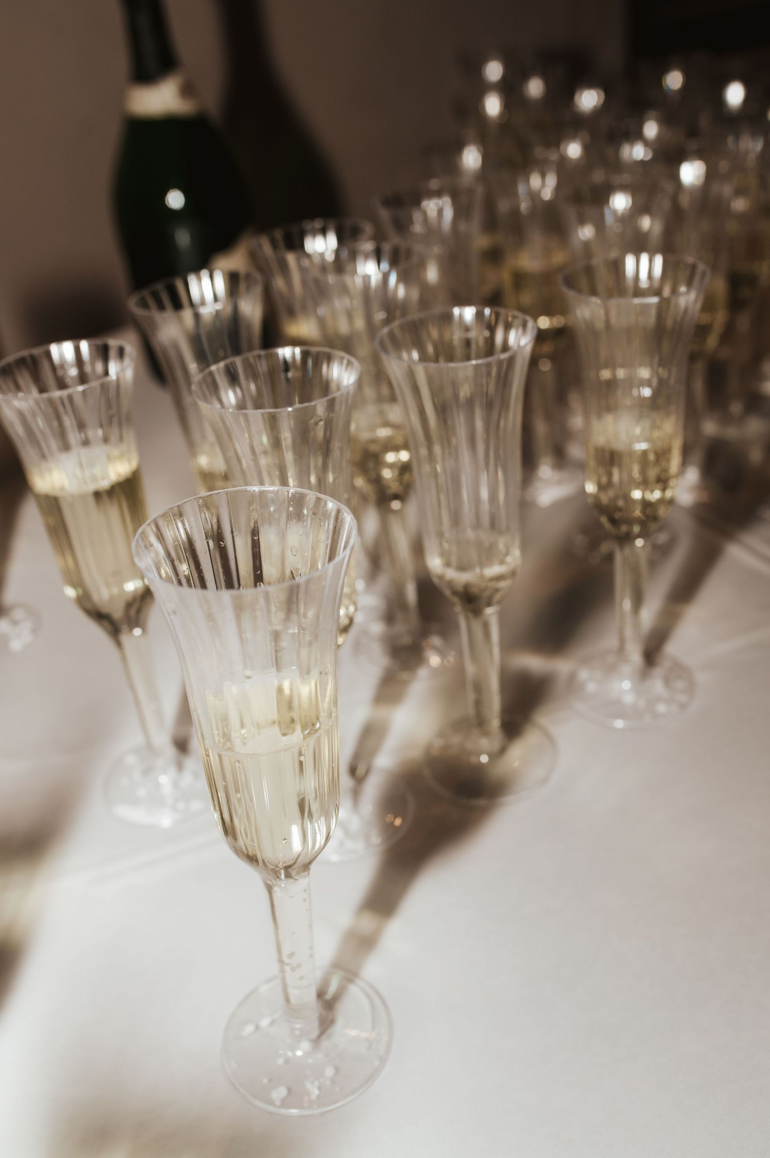 champagne toast photos