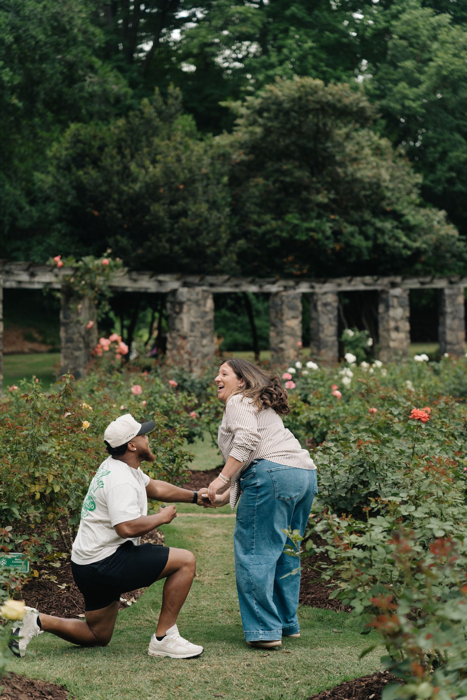 Man on one knee proposing to a woman in a lush rose garden with stone pergola backdrop.