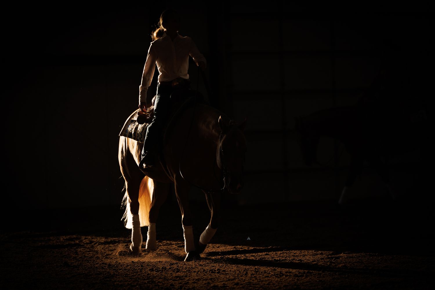 Silhouetted horse and rider in dramatic dark arena with warm golden backlight highlighting their outline.