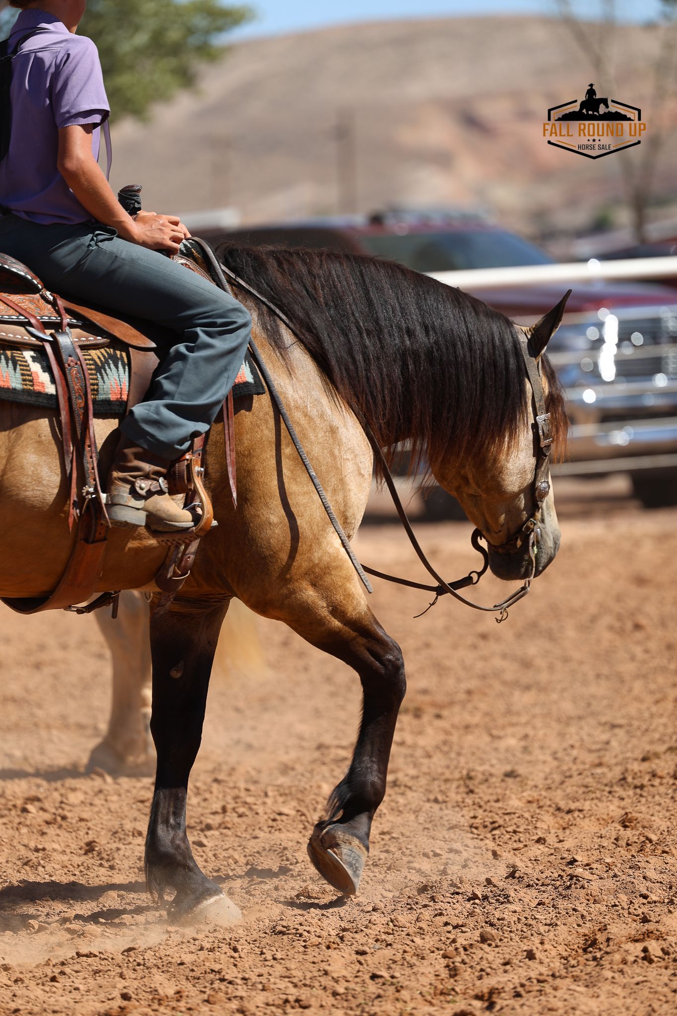 Rider on buckskin horse competing in a dusty arena at the Fall Round Up rodeo event.