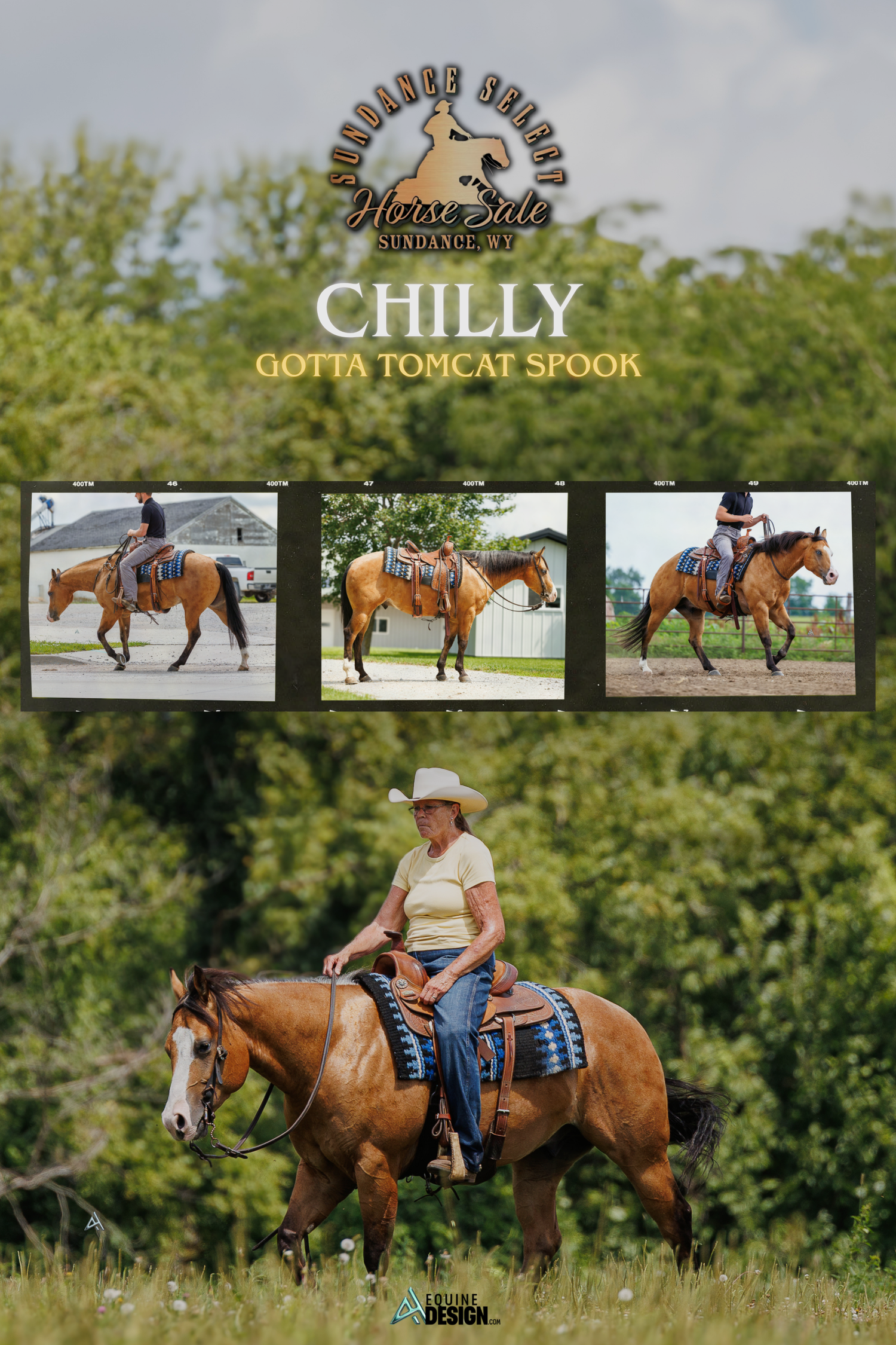 A woman rides a bay horse named Chilly Gotta Tomcat Spook at a Sundance Ranch horse sale event outdoors.