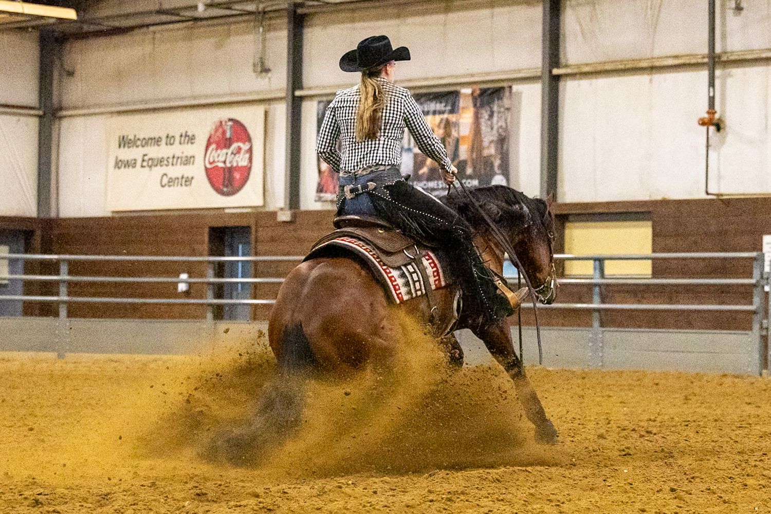 Horse and Rider competing in reining performing a sliding stop maneuver , bay horse is a show horse and has a young female rider on his back