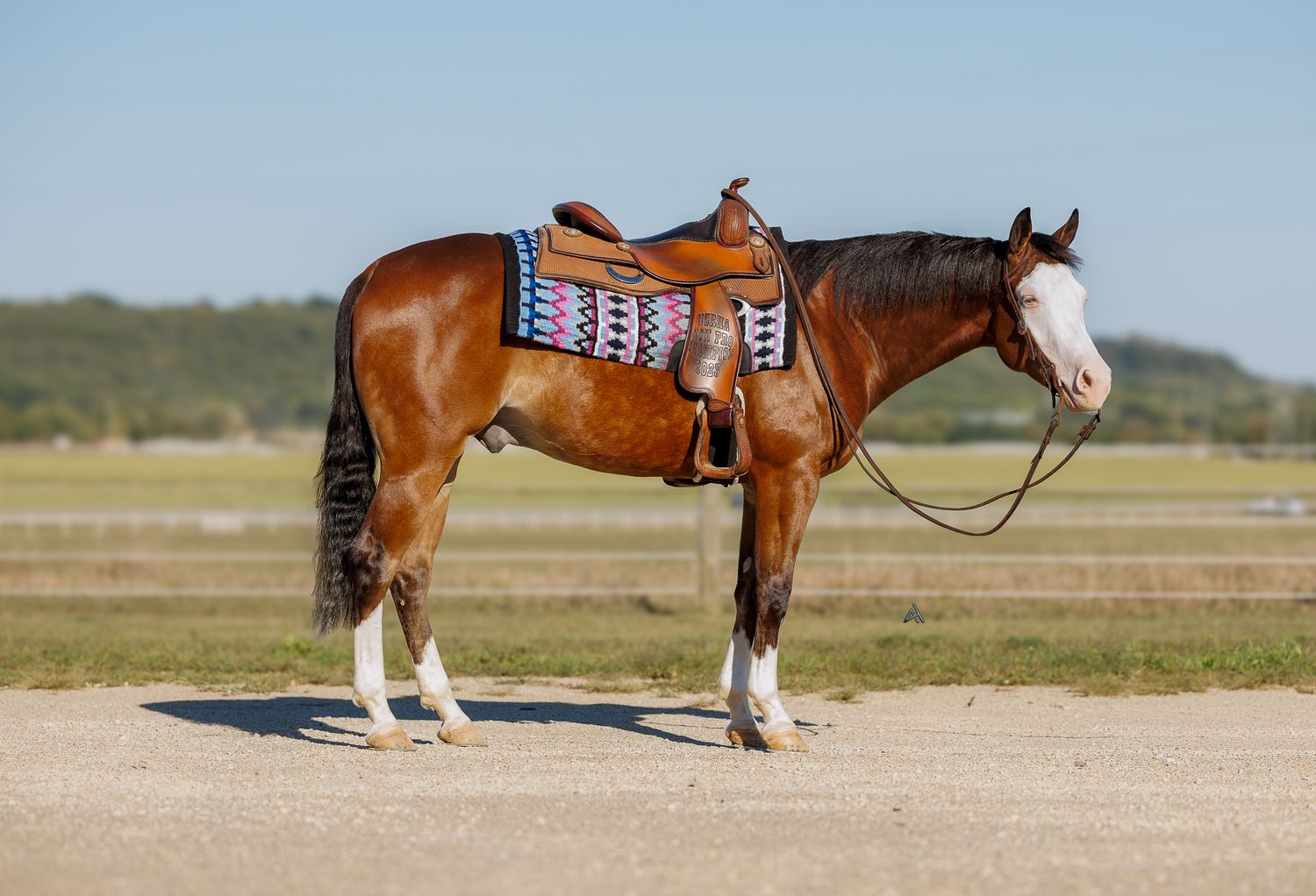 A chestnut horse with a white blaze stands saddled with Western tack and colorful blanket on a dirt path outdoors.