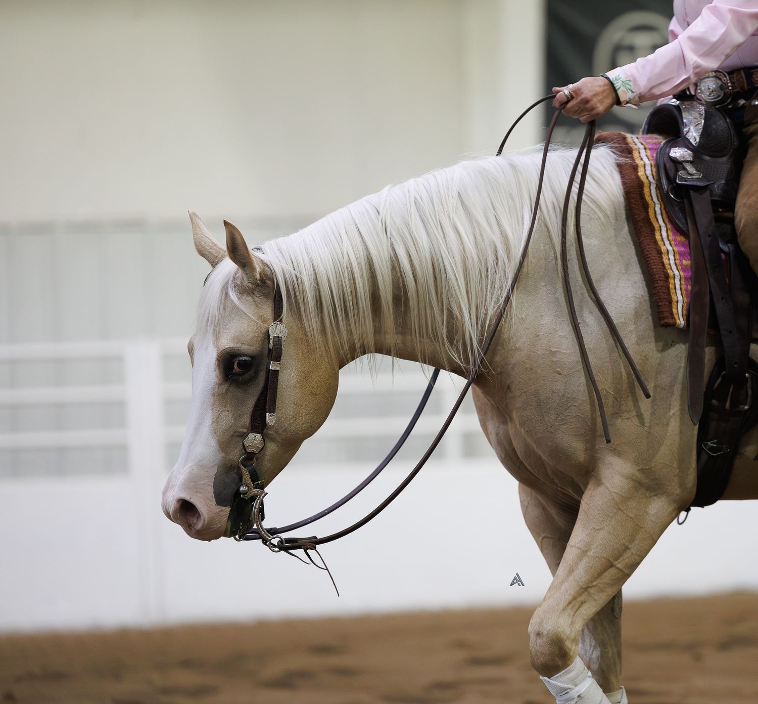 A rider in pink on a white horse with reins in an indoor equestrian arena during a western riding competition.
