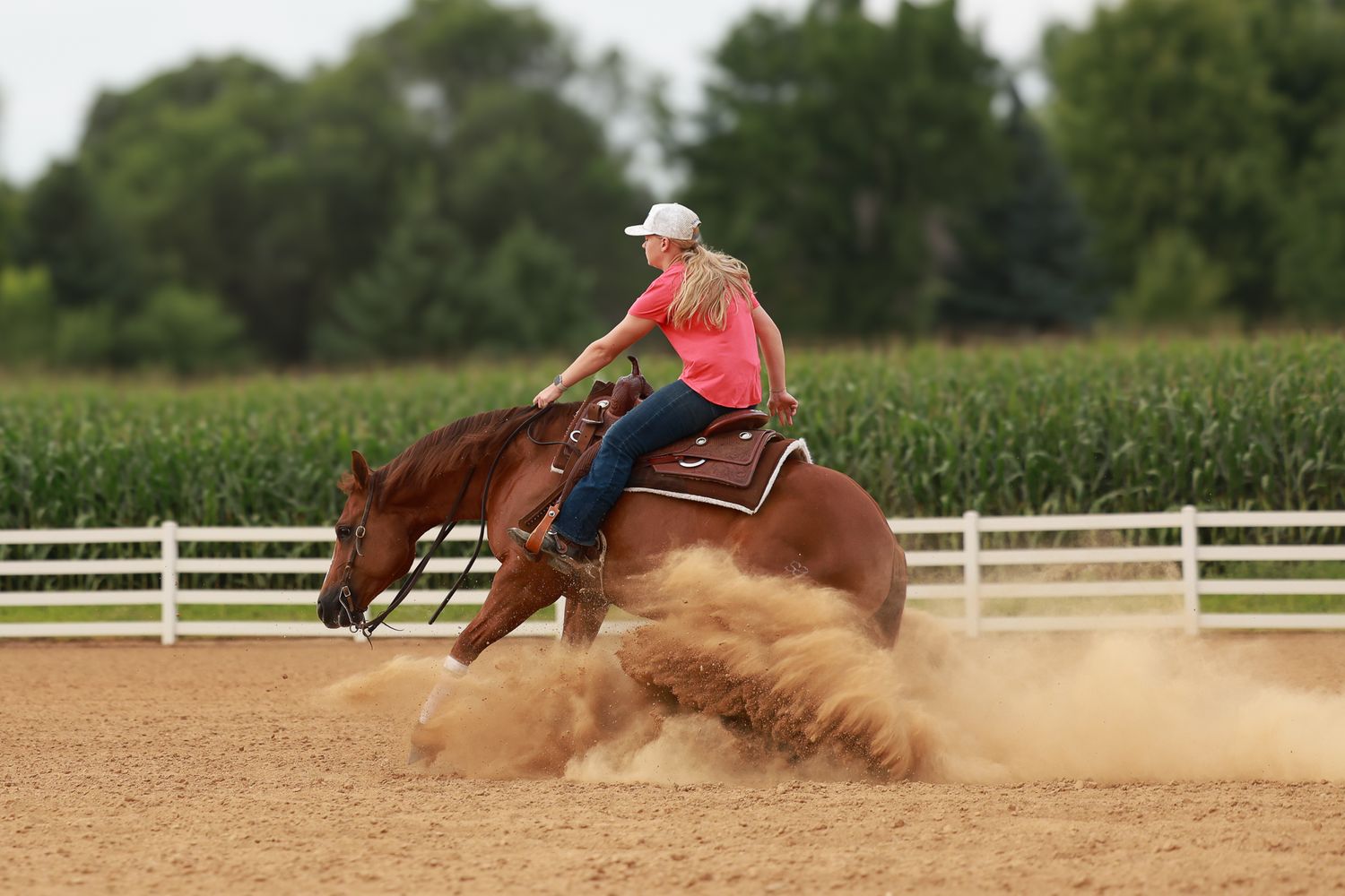 Woman in pink shirt and white hat riding a chestnut horse performing a sliding stop in a dusty arena.