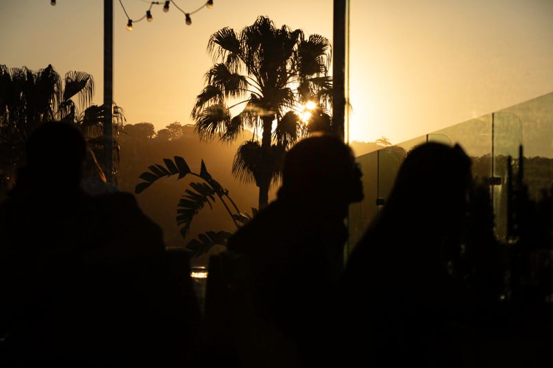 Palm tree silhouettes against warm sunset sky with mountains in background.