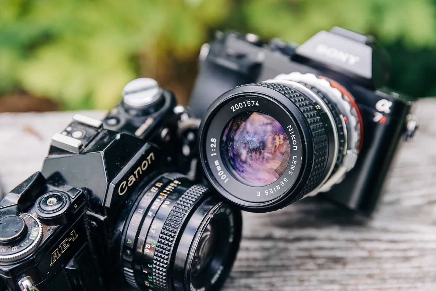 Two vintage cameras, a Canon AE-1 and Sony mirrorless, rest on a wooden surface with lush green bokeh background.
