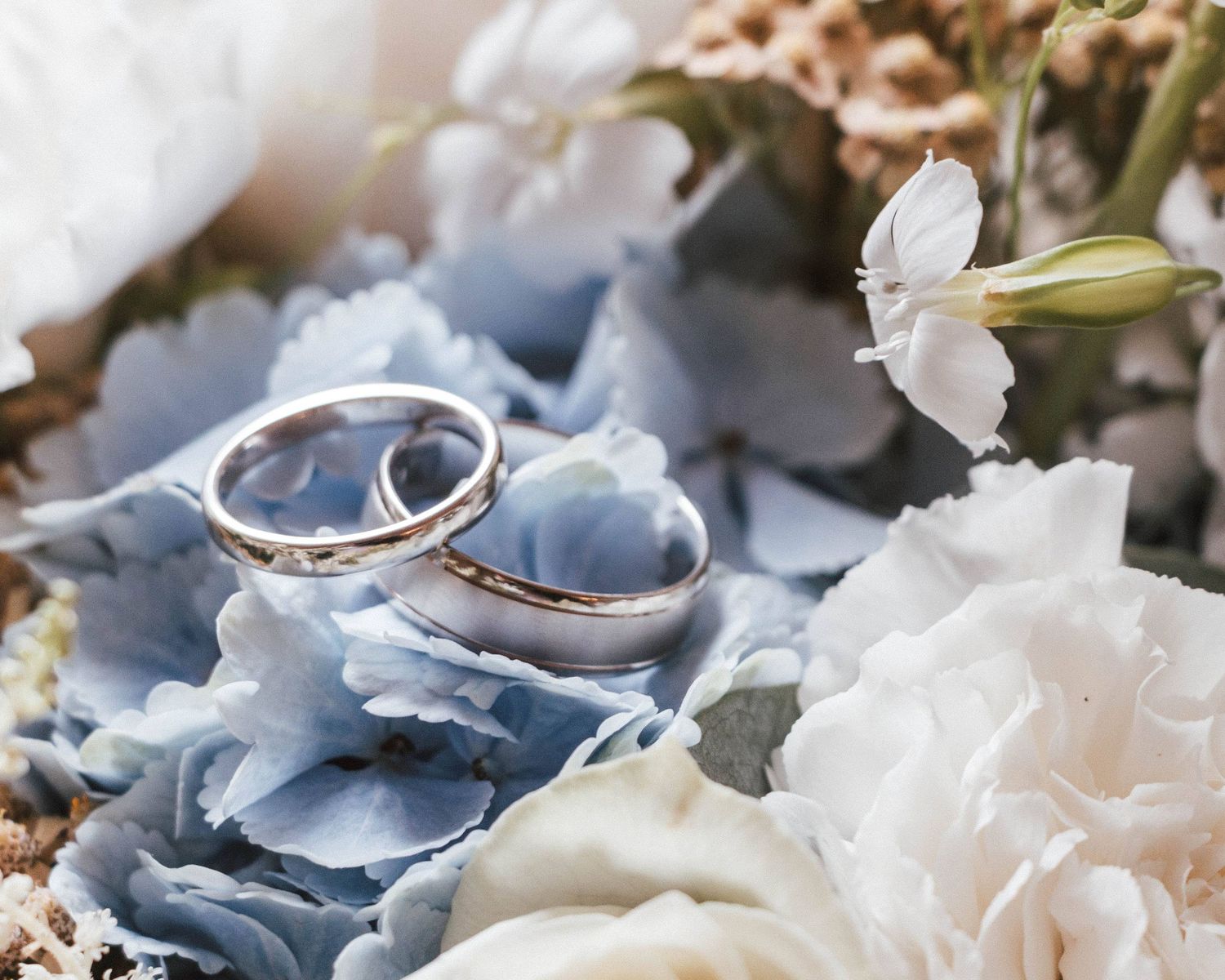 Two silver wedding rings on top of a bouquet of flowers, captured in a natural, romantic style by EvieSJPhotography.