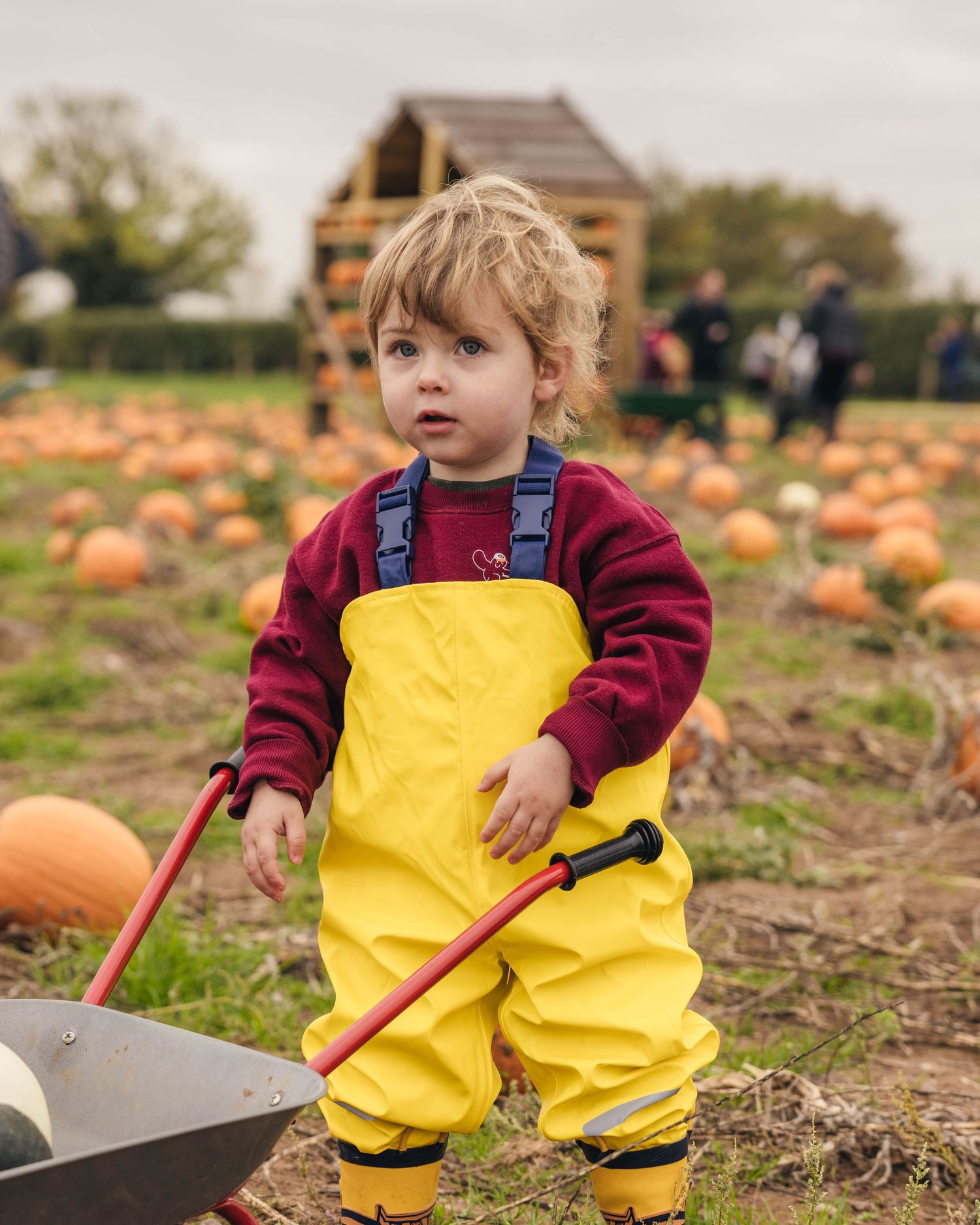 Child exploring a pumpkin patch during a family photoshoot in Worcestershire, captured in a natural lifestyle style by EvieSJPhotography.