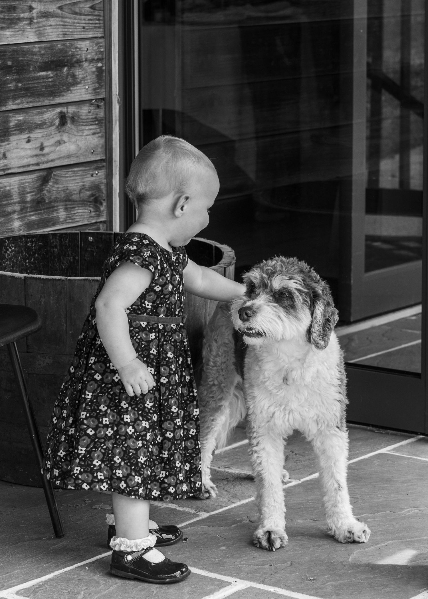 A toddler and Milo having fun together before the wedding ceremony in Worcestershire.