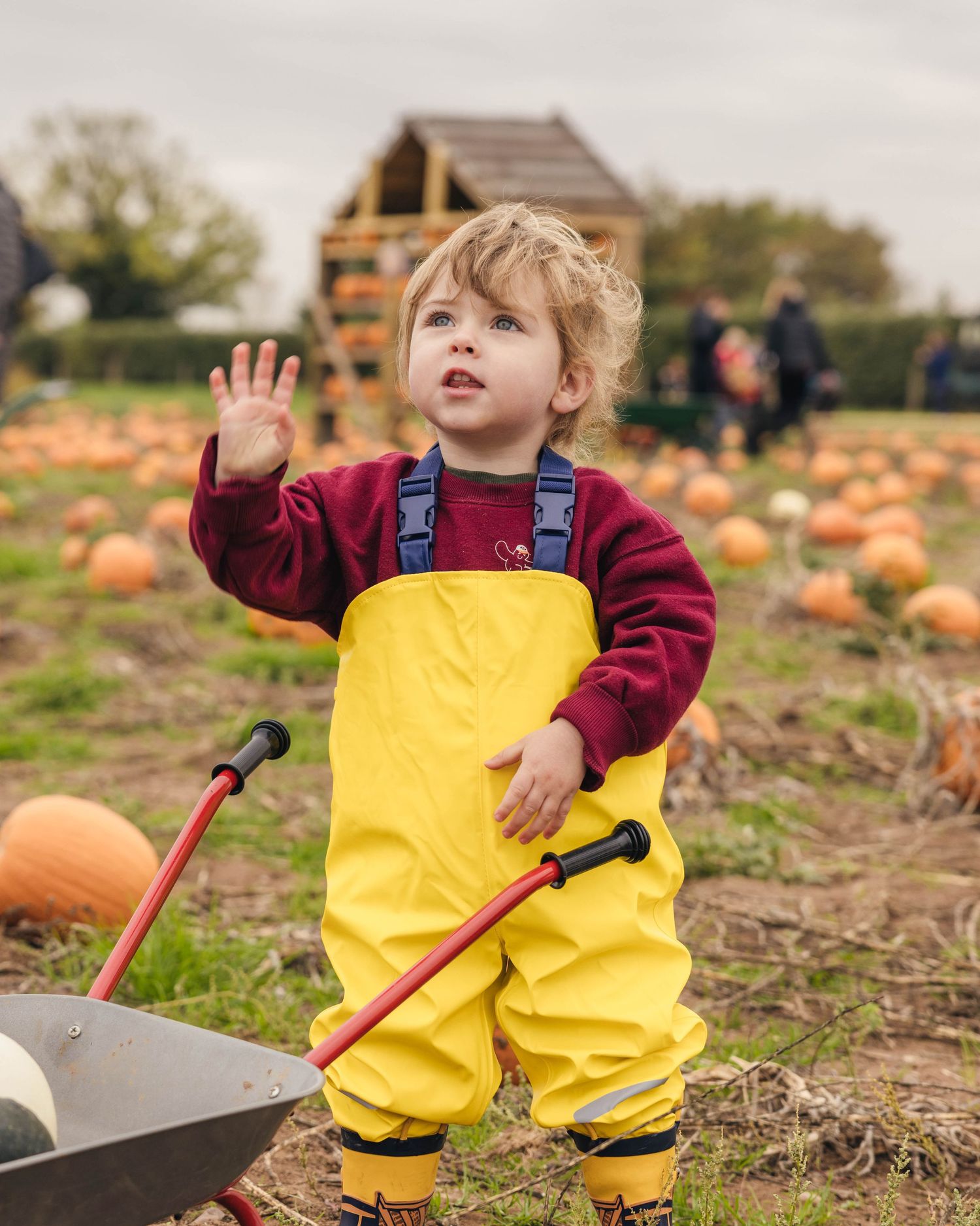 Toddler enjoying the pumpkin patch during an autumnal photoshoot captured by EvieSJPhotography.
