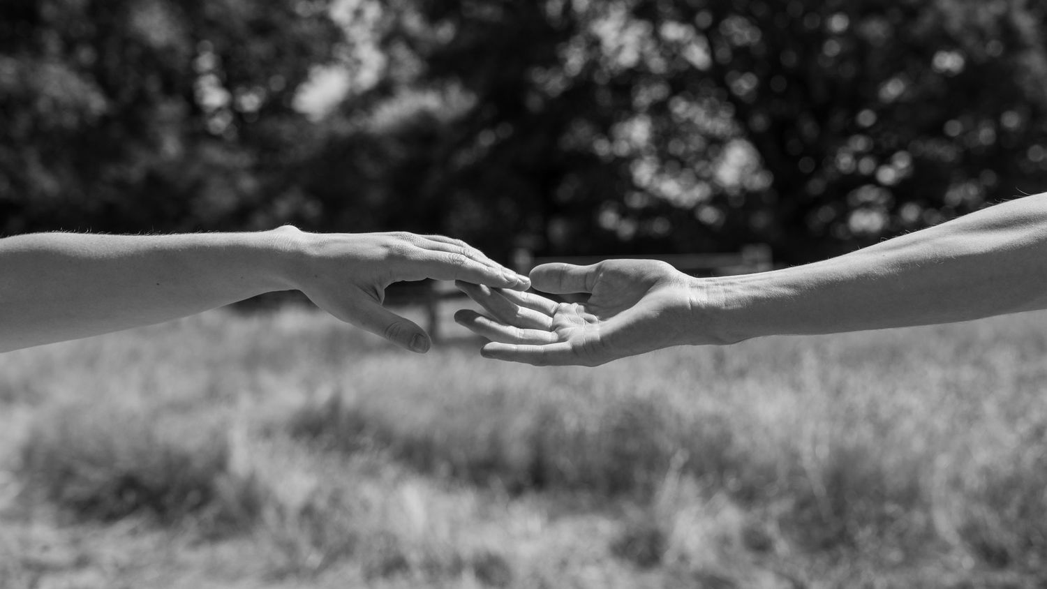A black and white photo of two hands nearly touching in a field.