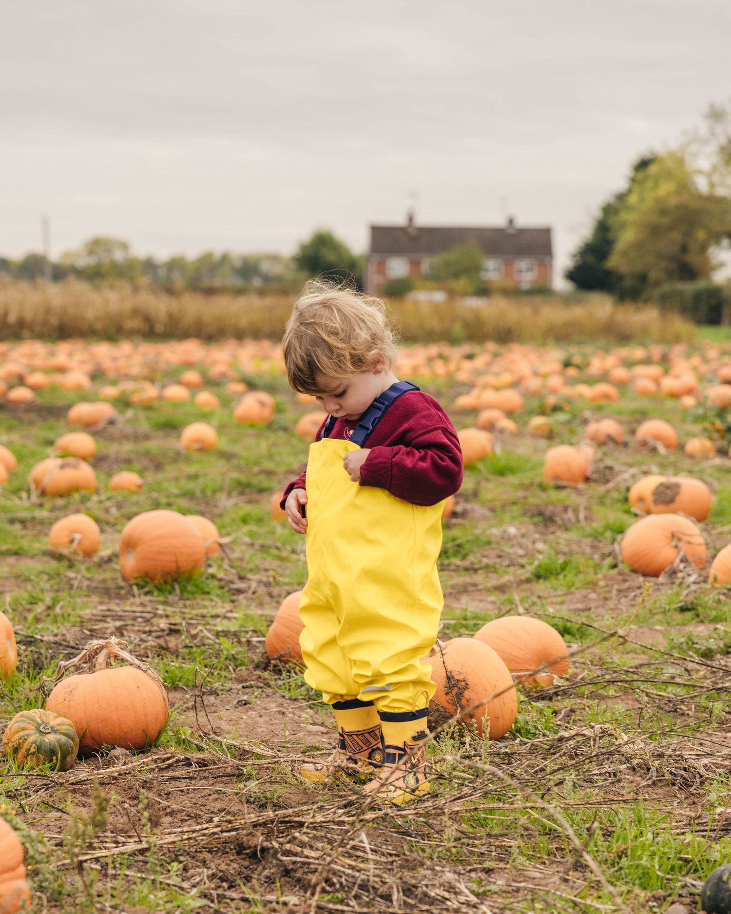 Toddler enjoying the pumpkin patch during an autumnal photoshoot captured by EvieSJPhotography.