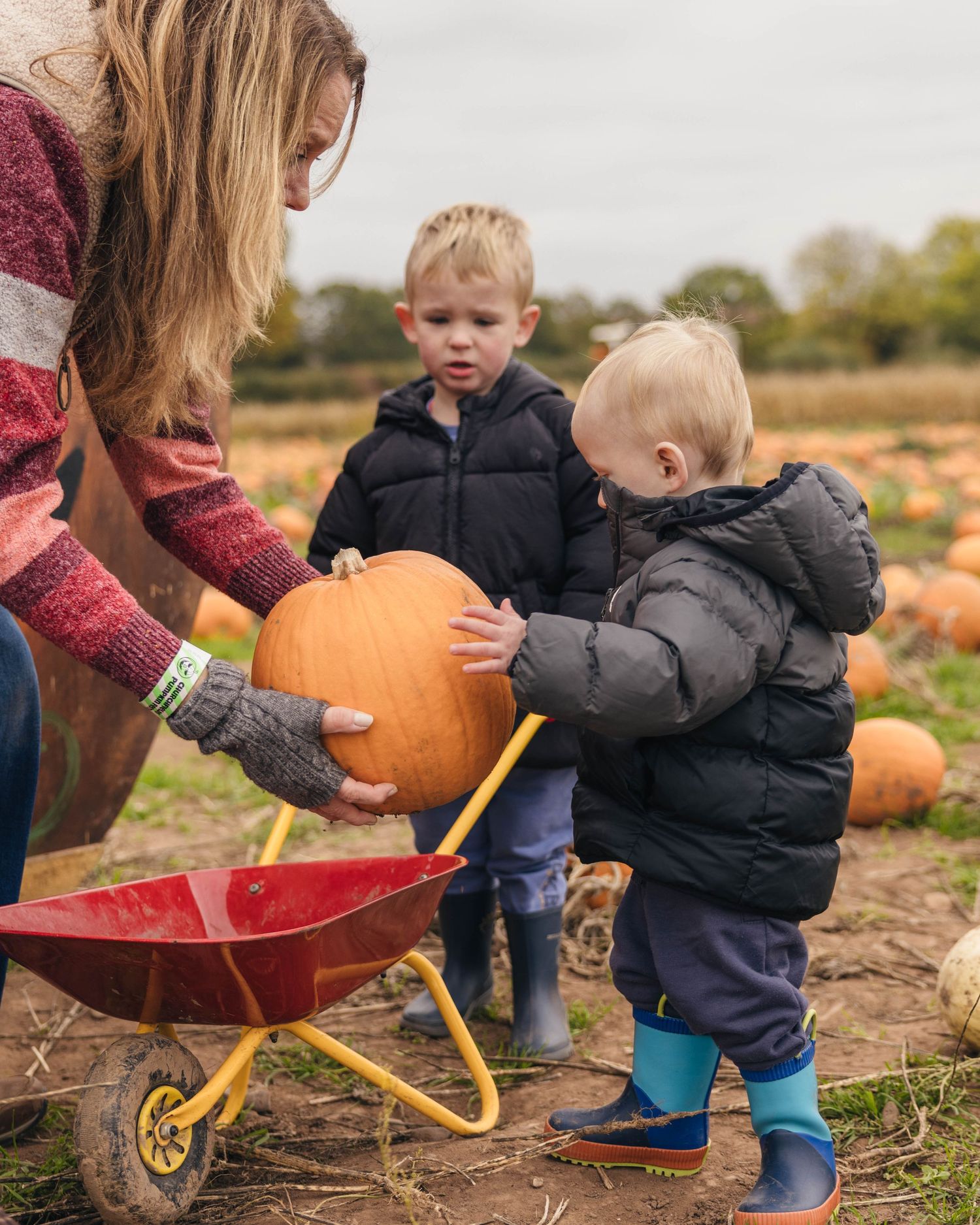 Children exploring a pumpkin patch during a family photoshoot in Worcestershire, captured in a natural lifestyle style by EvieSJPhotography.