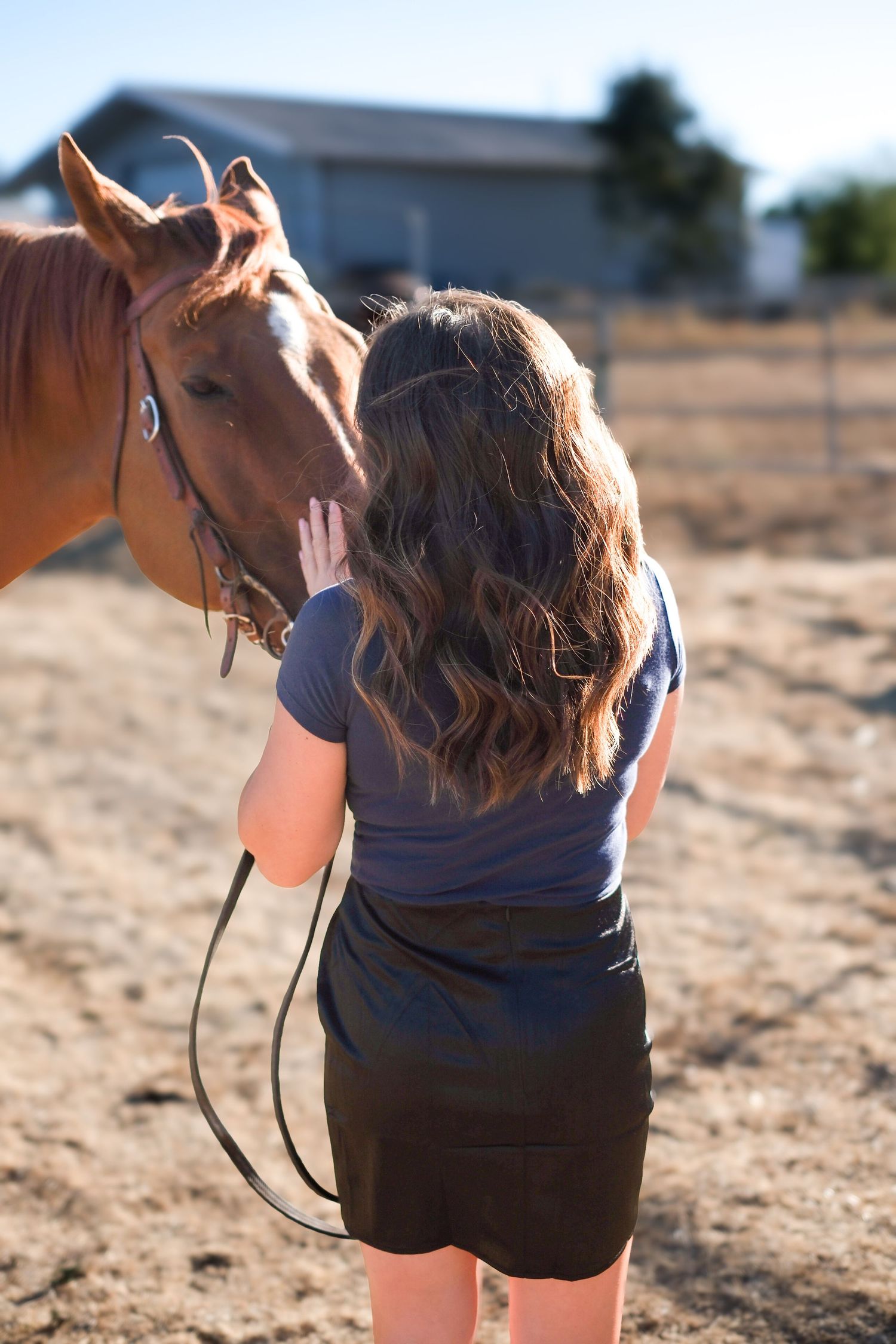 Close-up shots of someone bonding with a chestnut horse against a sunny outdoor backdrop.