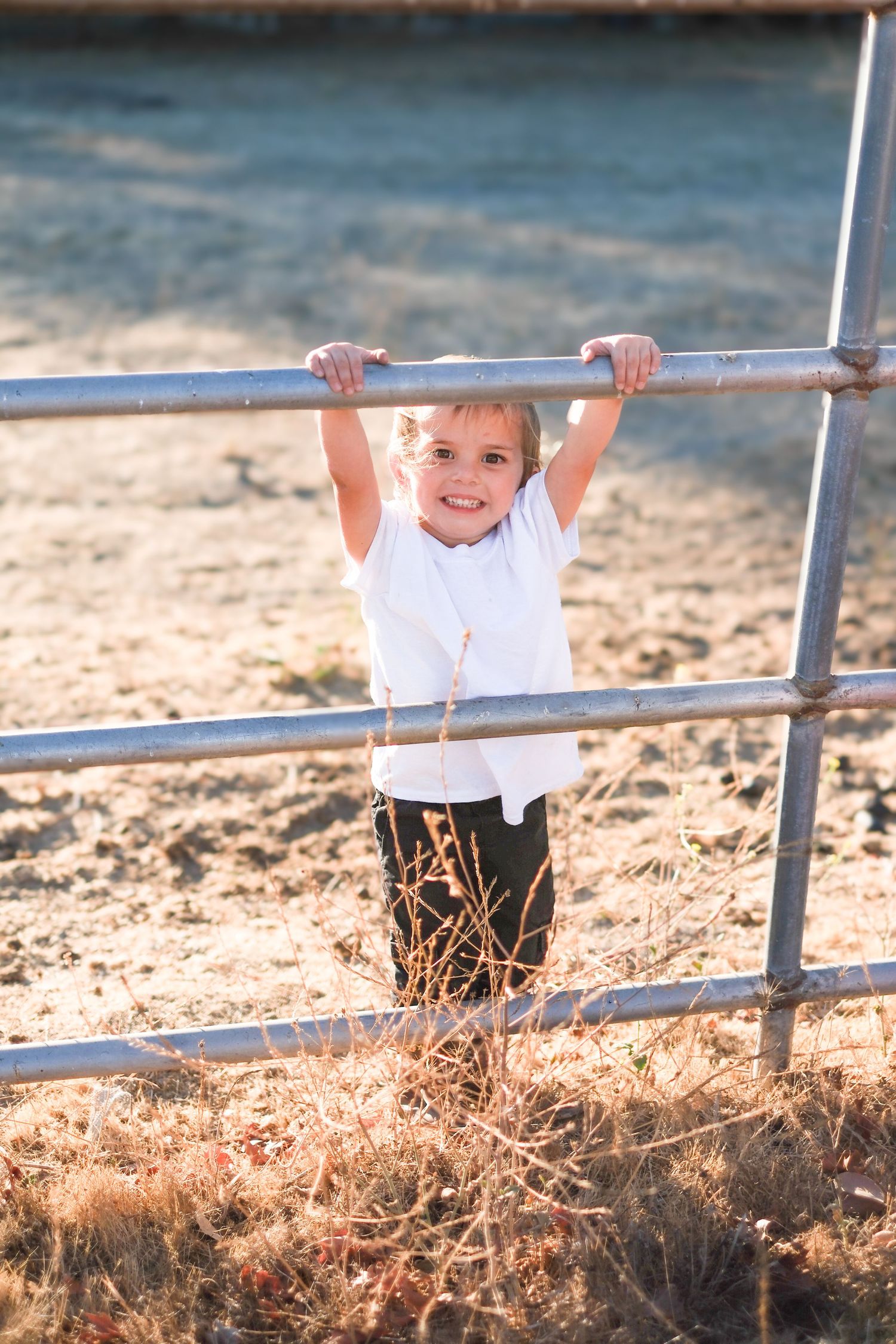 A small child hangs playfully from metal fence rails in a sunny outdoor setting.