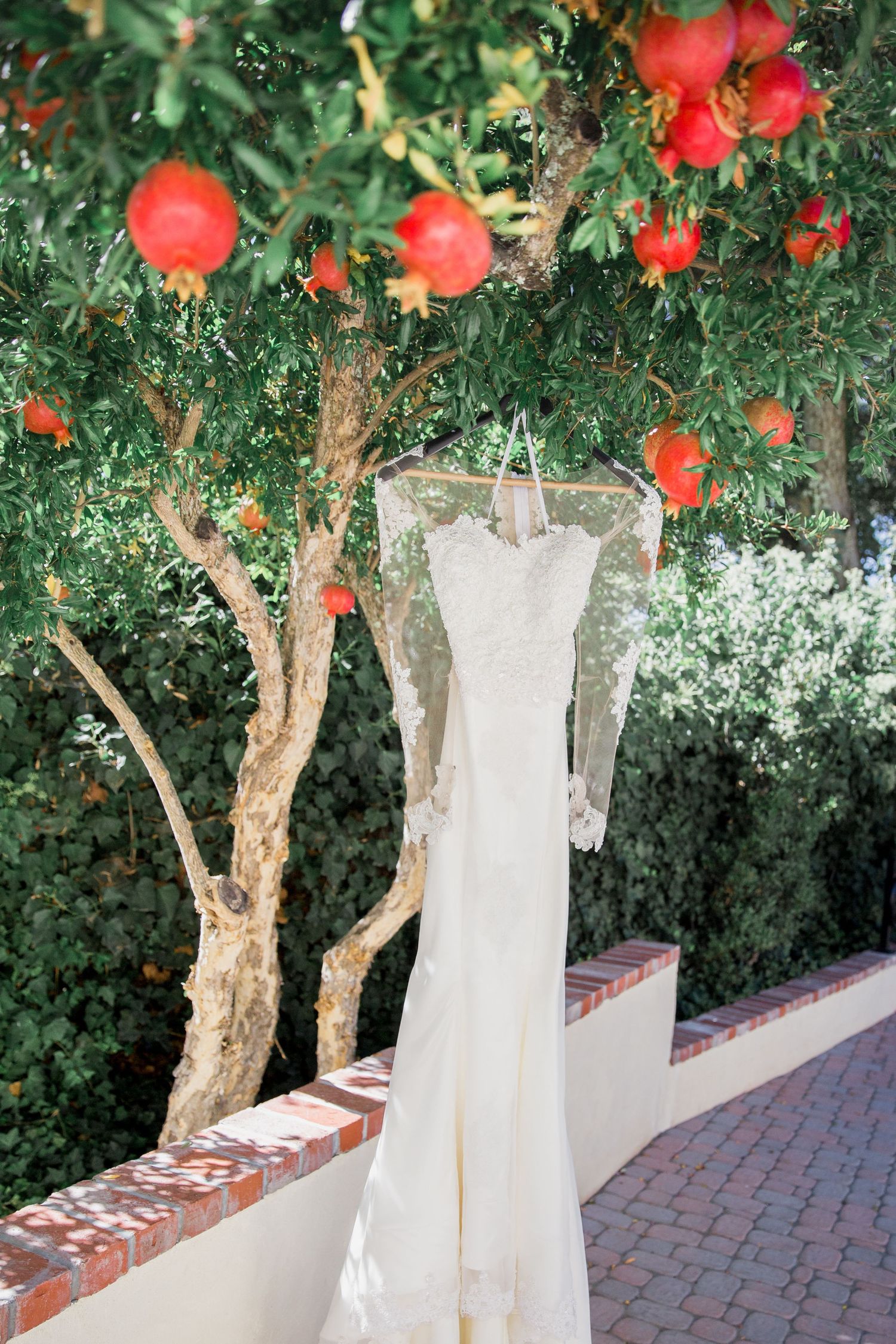 Elegant white lace wedding dress hanging on display against a pomegranate tree with bright red fruits.
