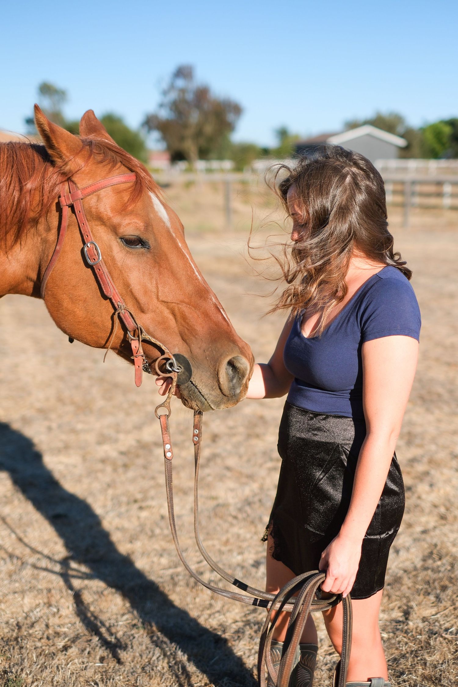 A chestnut horse interacts playfully with someone in a series of close-up shots against a dry field background.