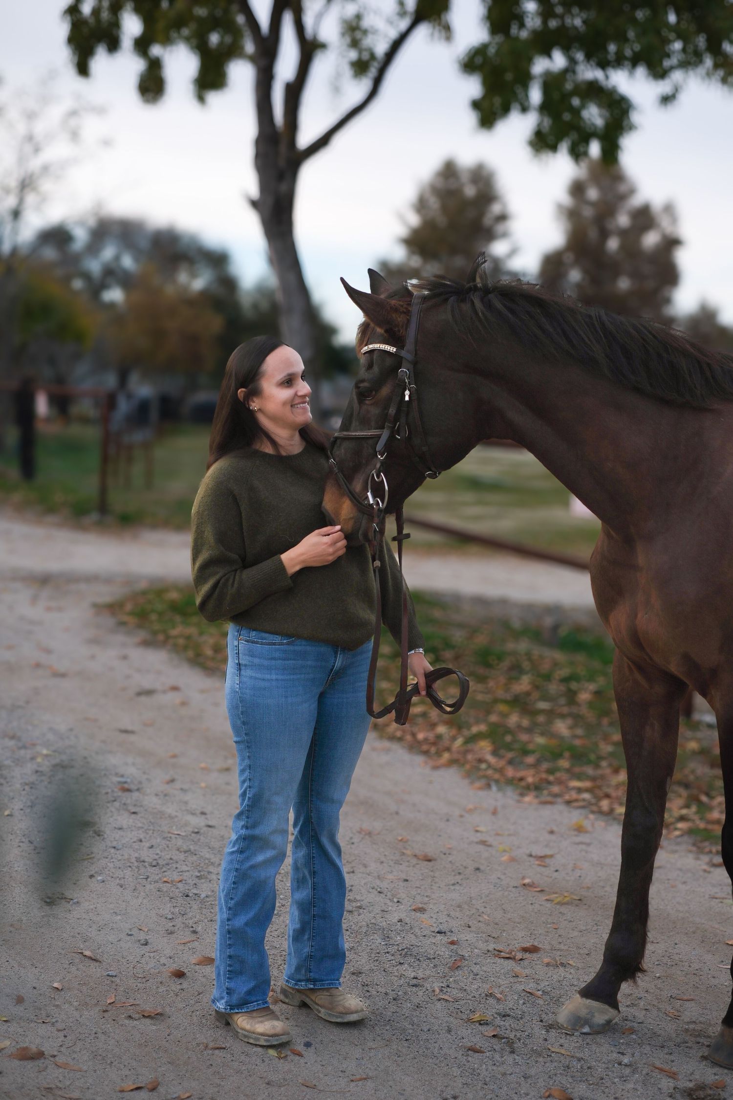 Person in casual wear interacting with a dark horse on a tree-lined path.