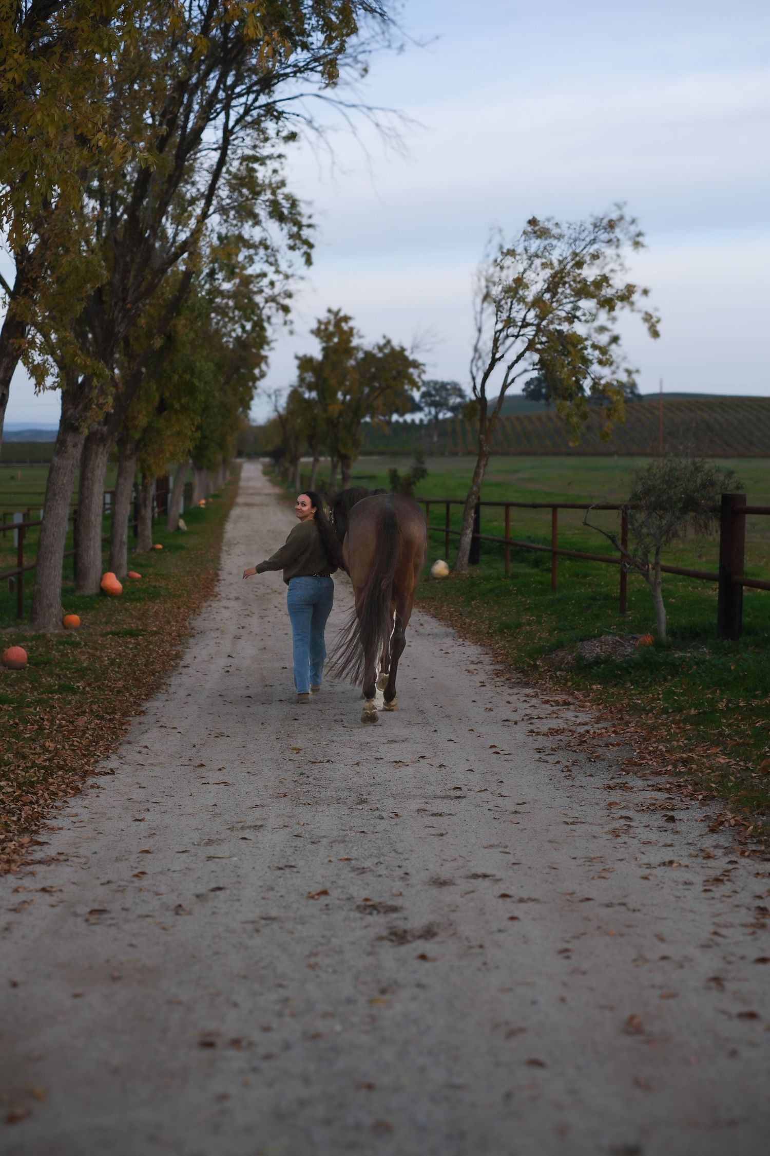 Person leading a horse down a tree-lined path with fallen autumn leaves.