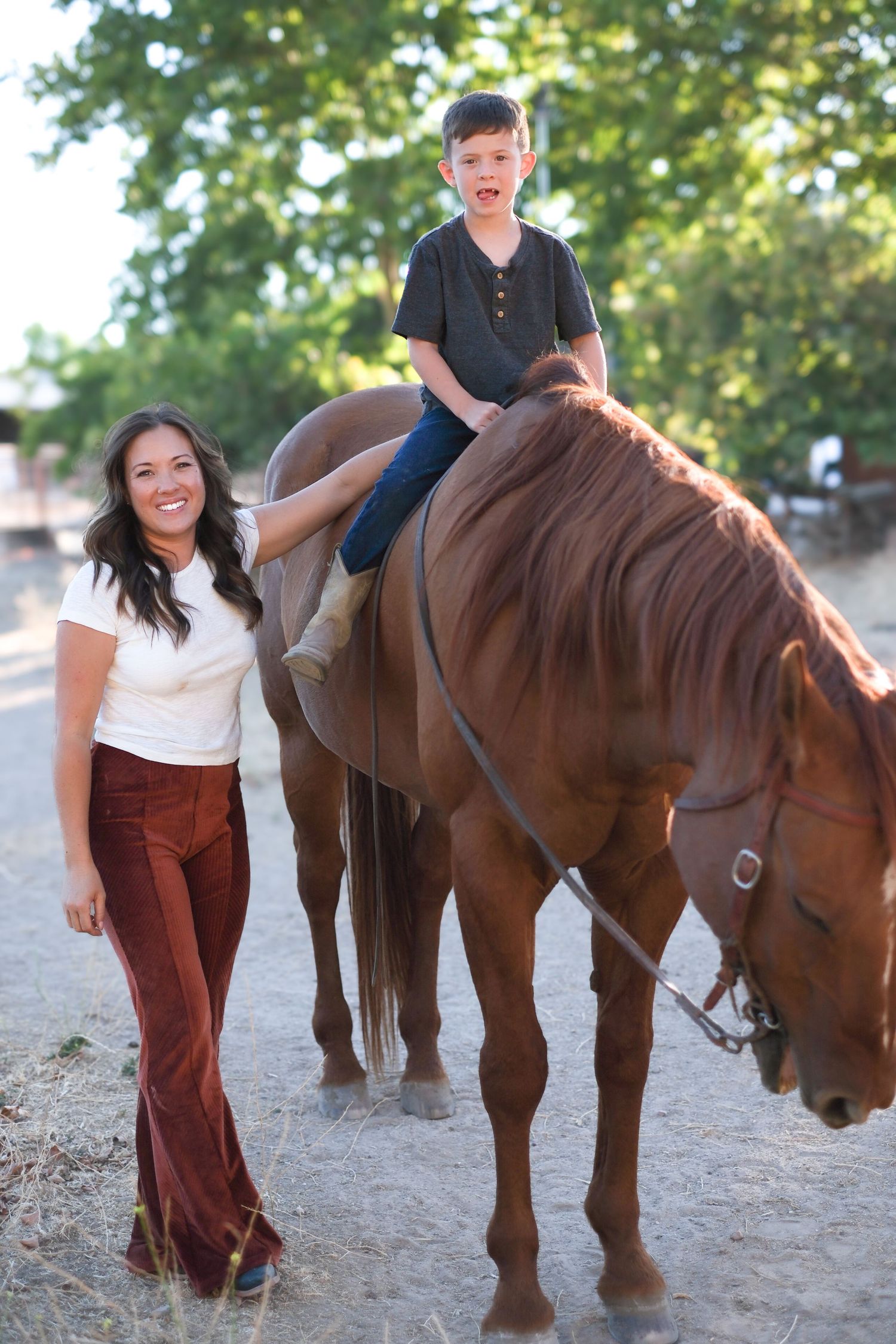A series of photos showing a brown horse and rider in casual attire interacting in an outdoor setting.