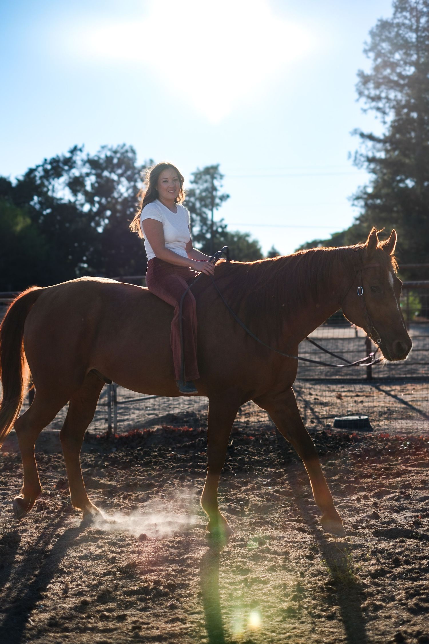 Sunlit sequence of horse riding moments captured in a dusty paddock during golden hour.